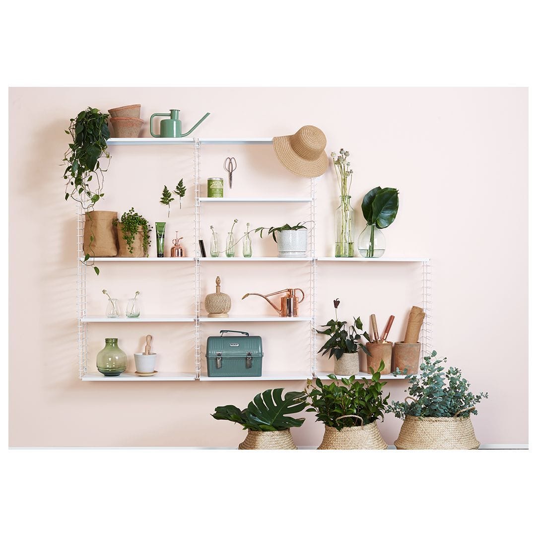 Staggered shelves with assorted plants