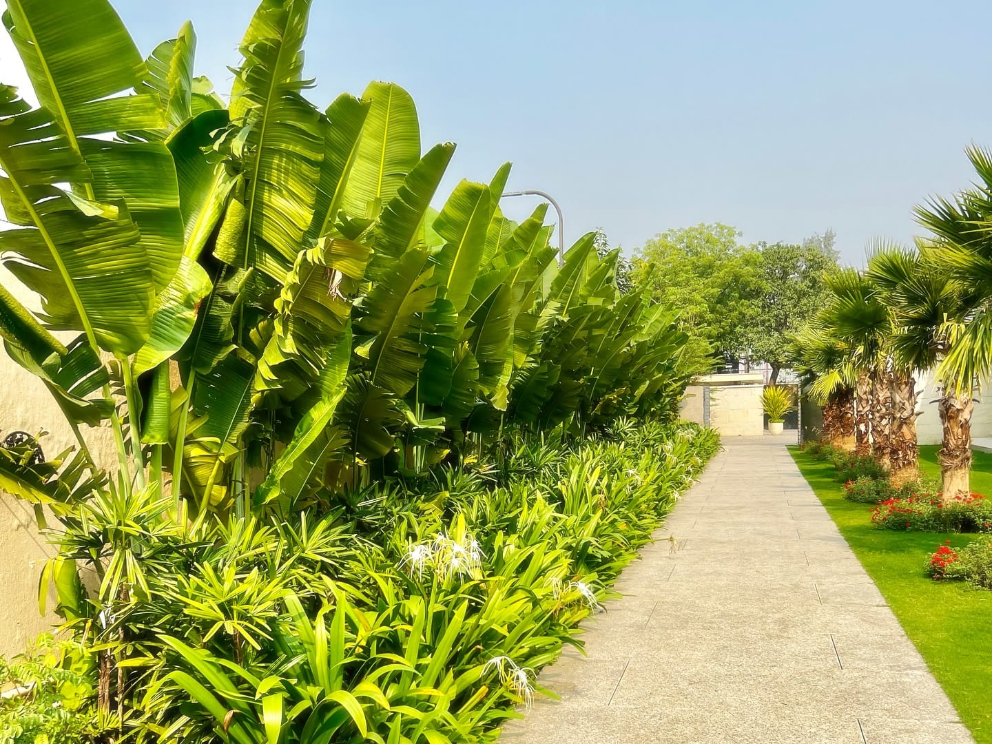 peaceful bamboo in a ceramic vase beside a serene record cabinet
