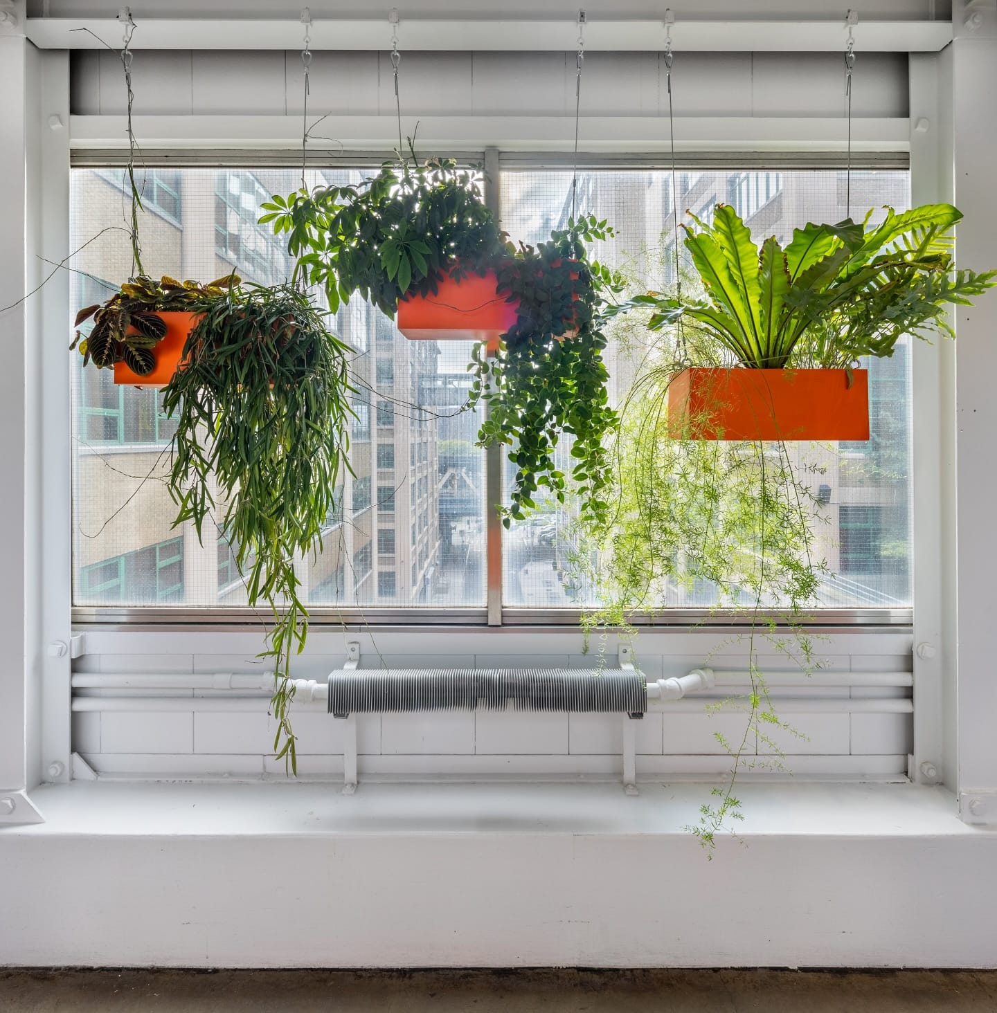 pots arranged on window sill