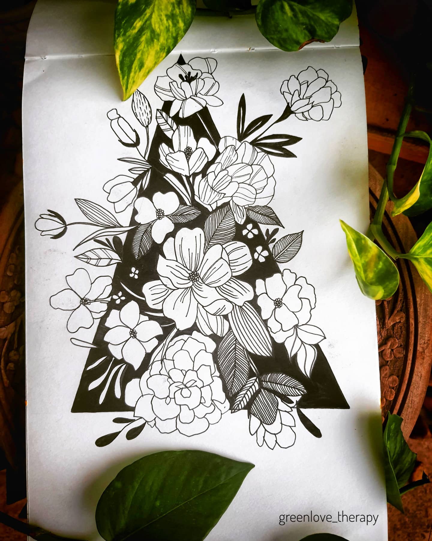 fiddle leaf fig casting shadows