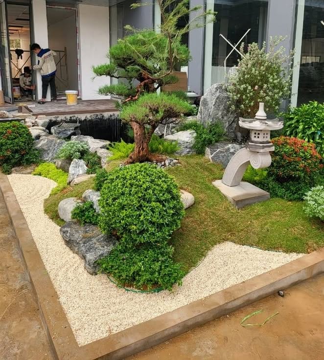 Aromatic herbs in wooden planter