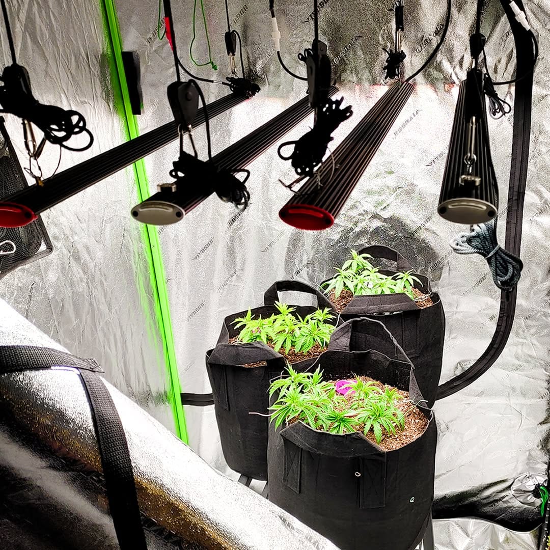 grow light panel above plant table