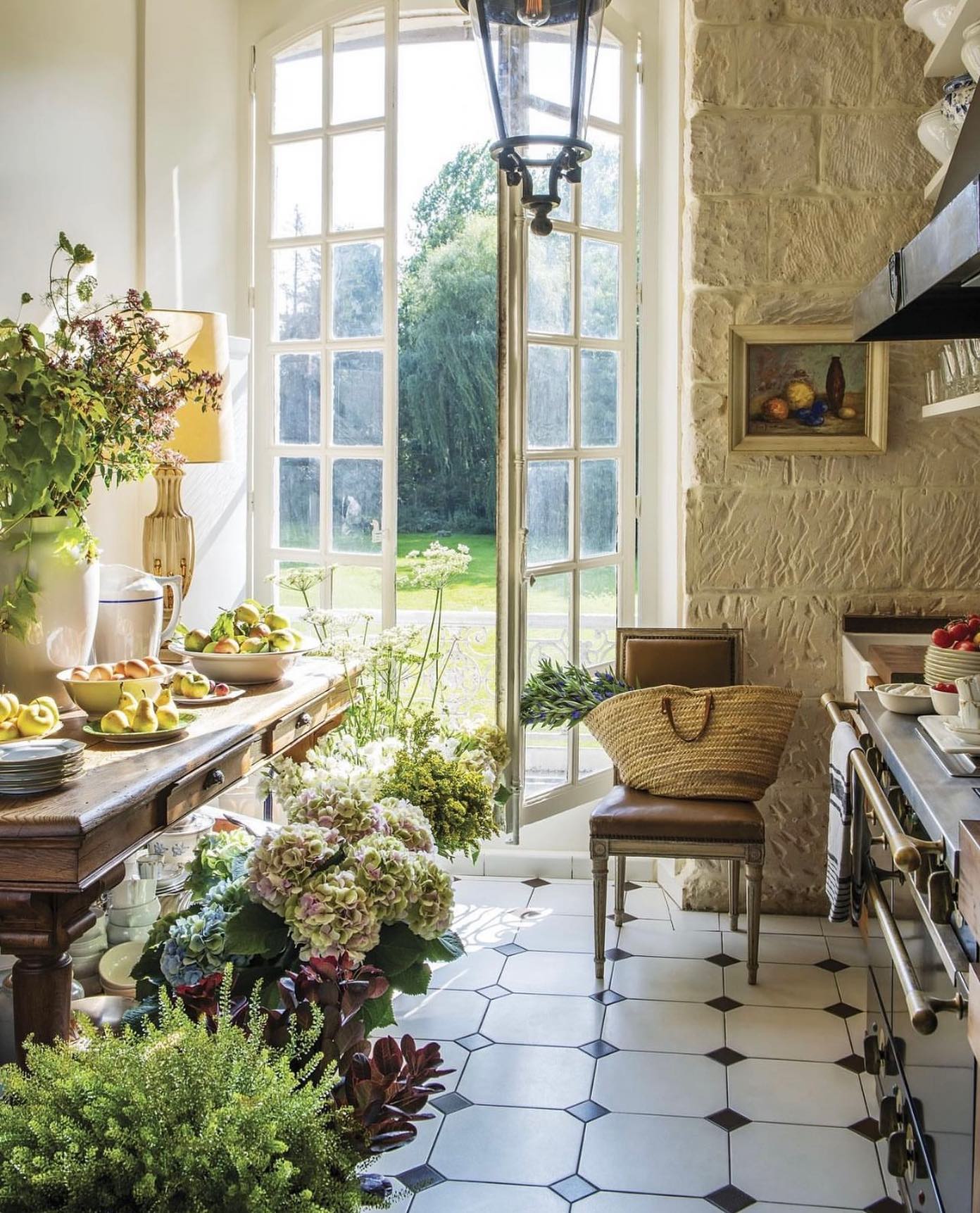 parsley plant in white pot