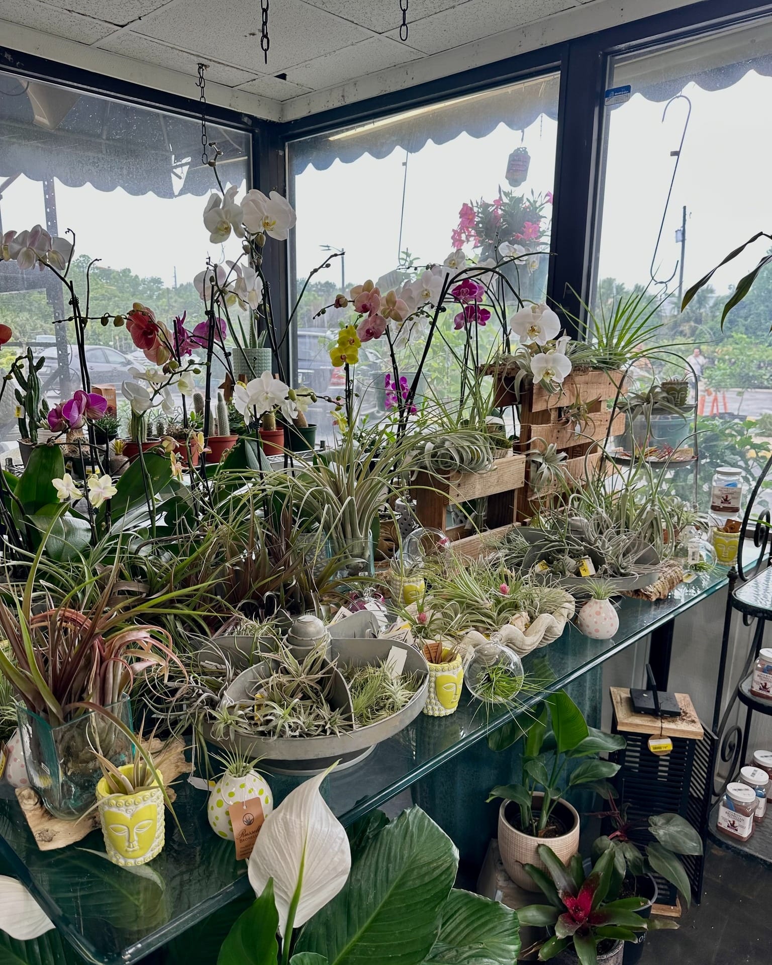 indoor herb garden on counter