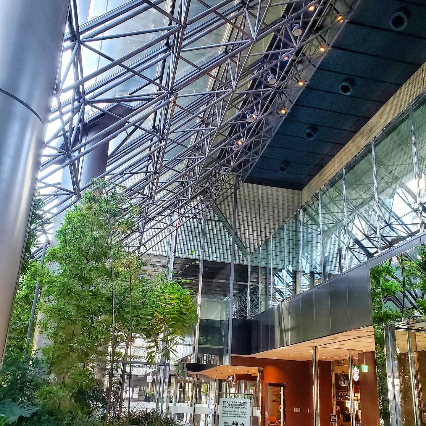 solar-powered grow light over plants