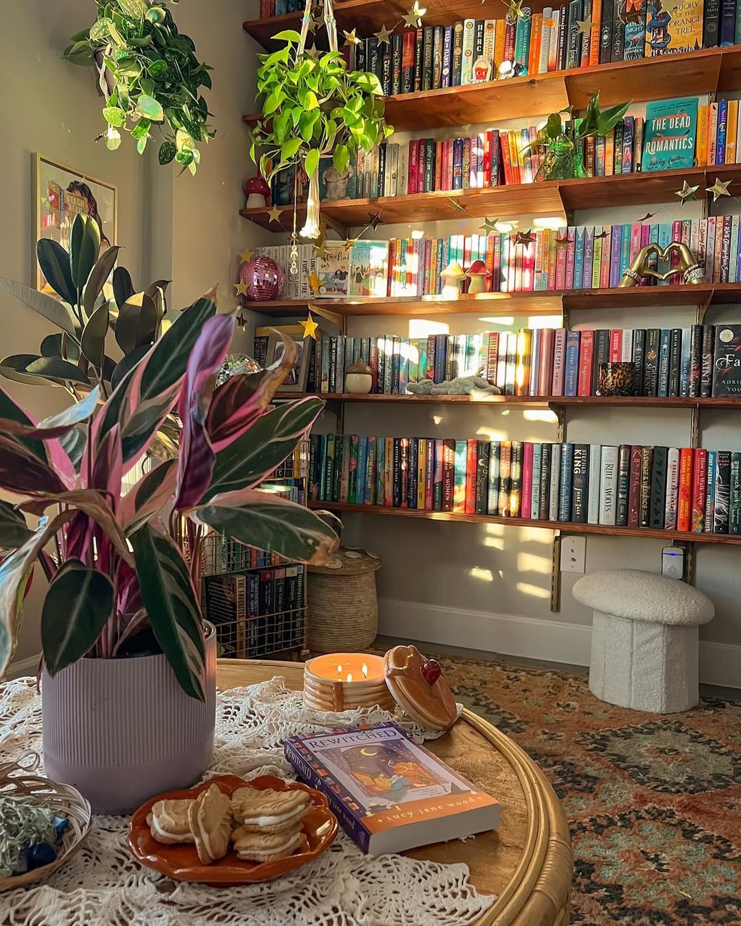 air-purifying plants on shelf