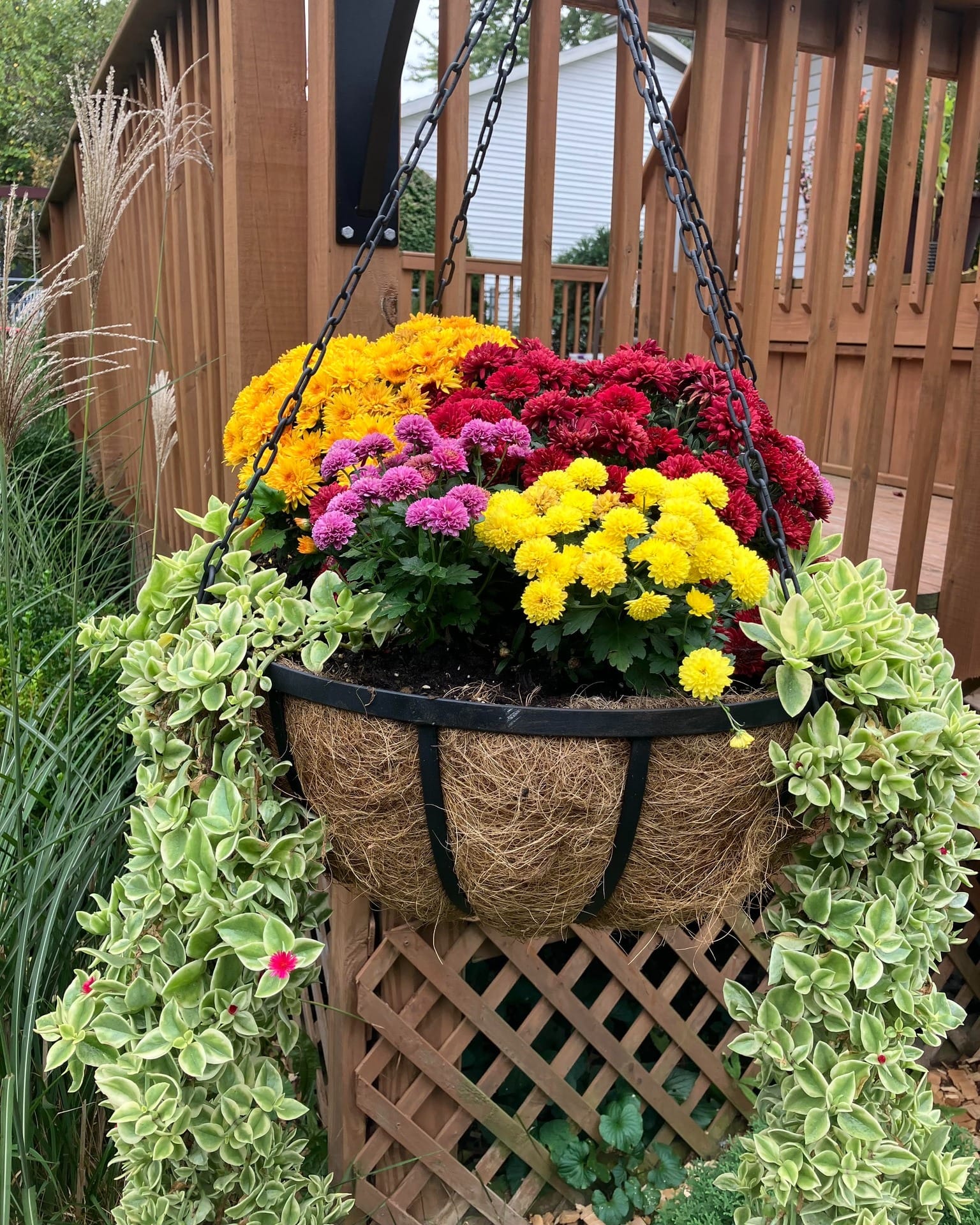 chain link hanging planter system