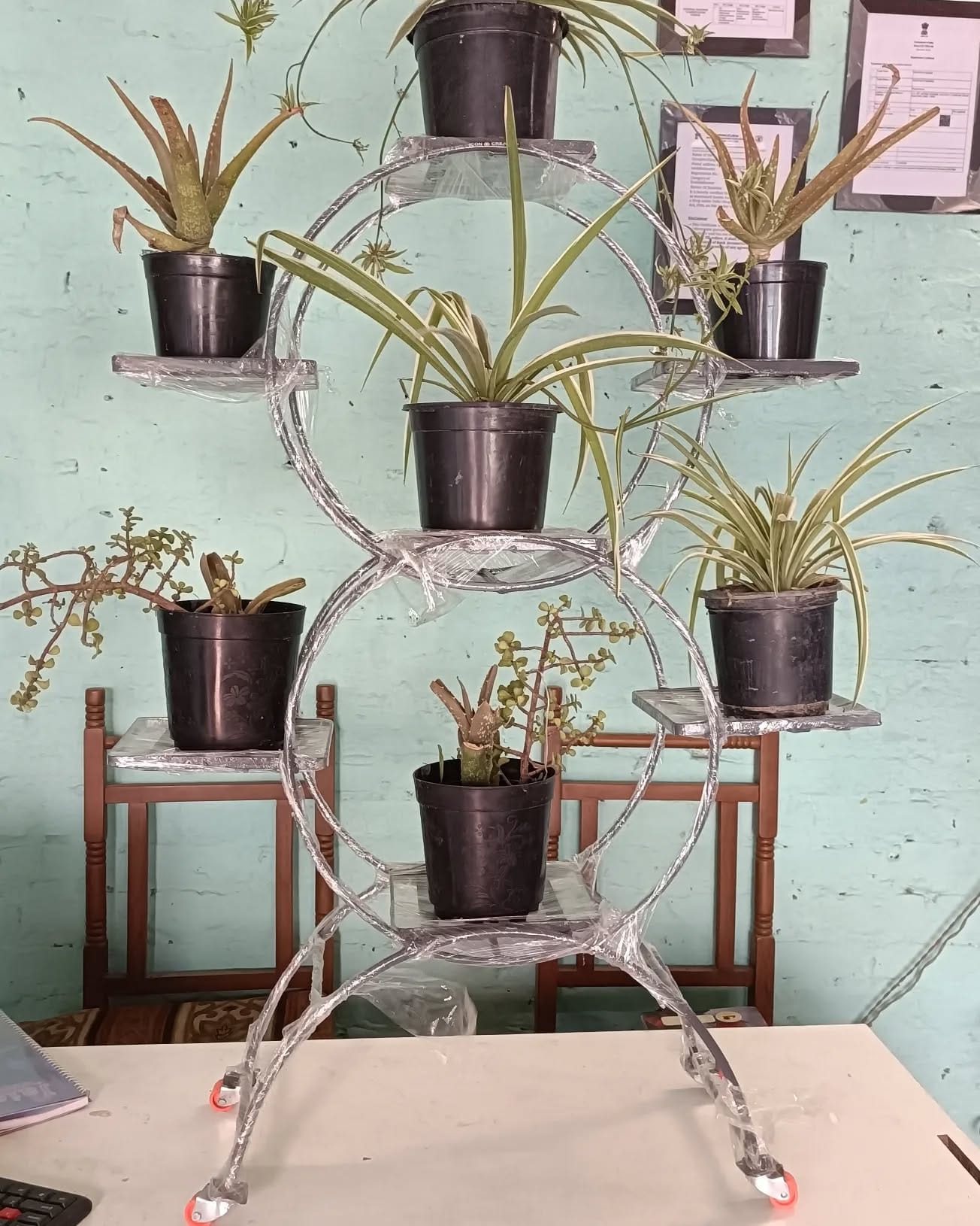 Geometric metal plant stand with greenery
