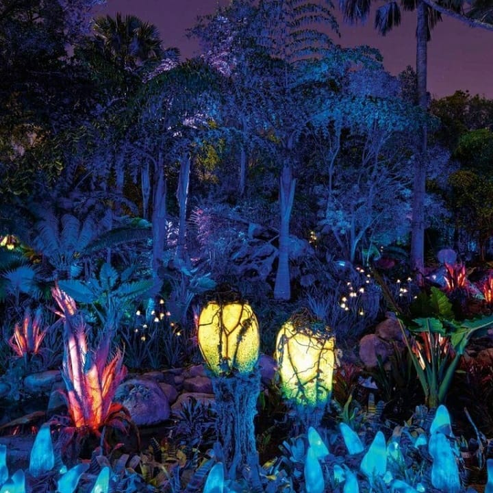 vibrant flower bed with fiber optics