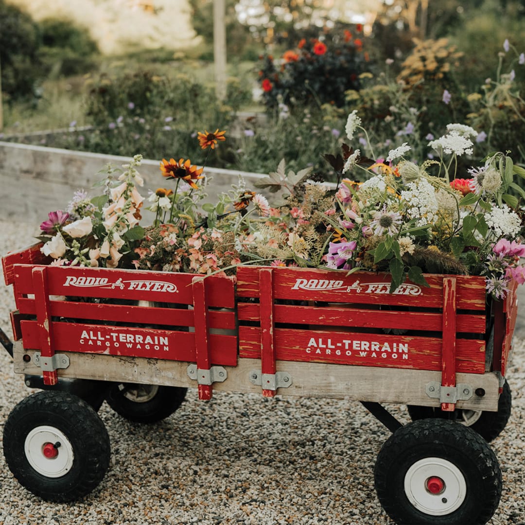 Old wagon cart with flowers spilling over
