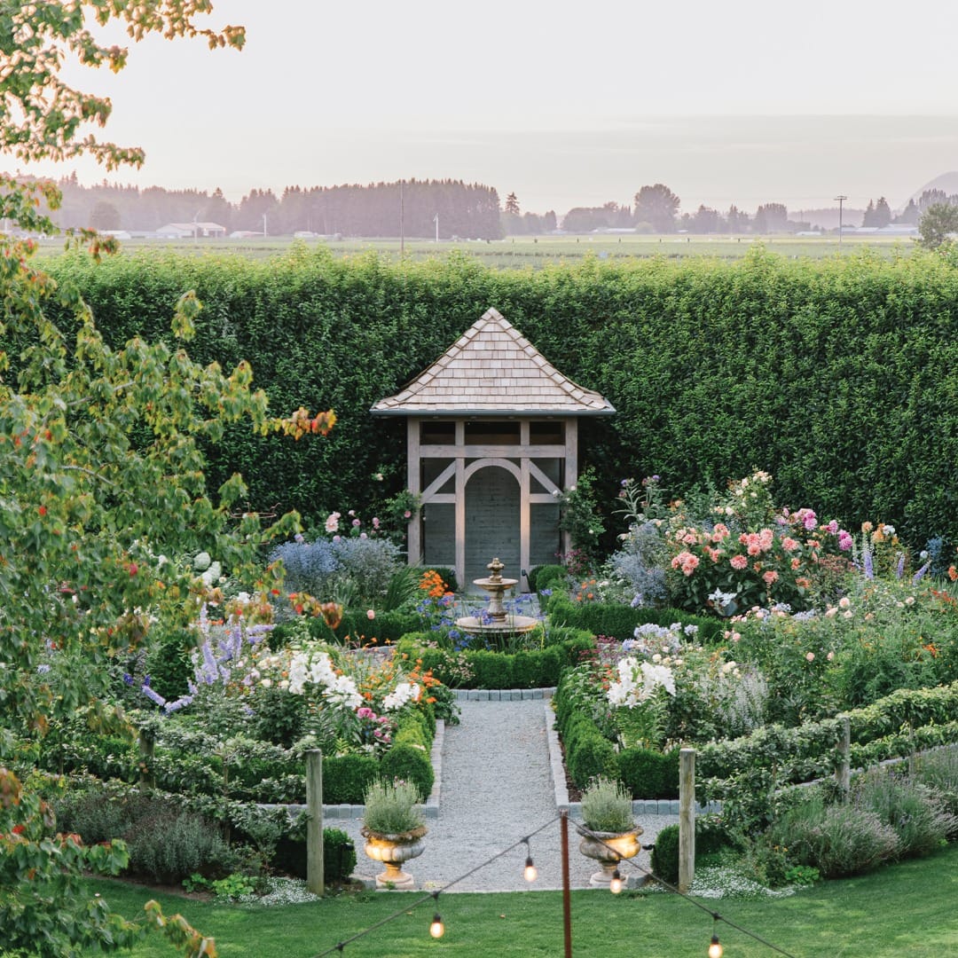 small hallway with plant shadows