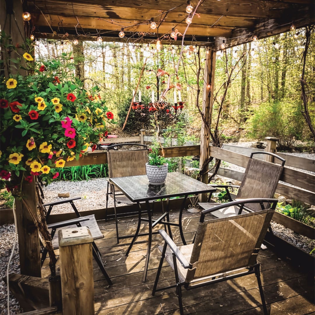 Horse trough filled with various herbs