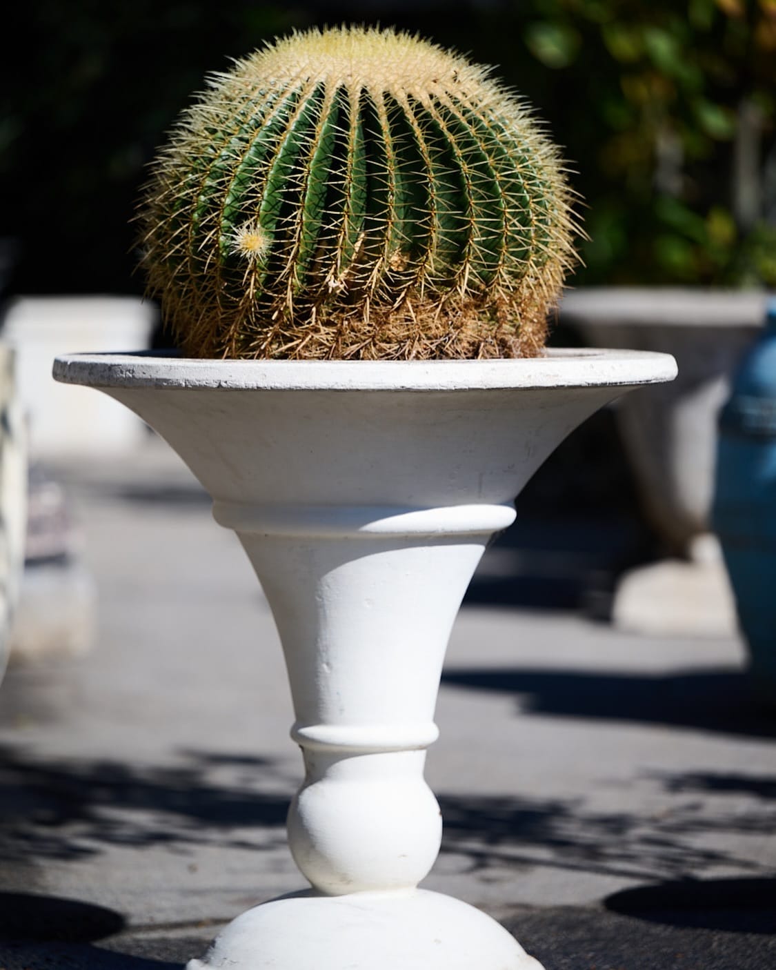 brightly painted barrel planter