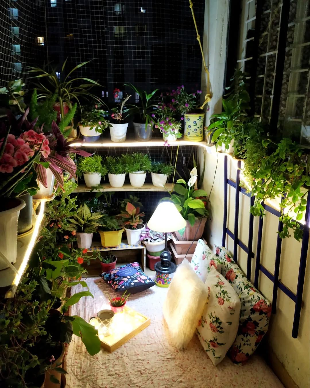 plants on a sunlit balcony