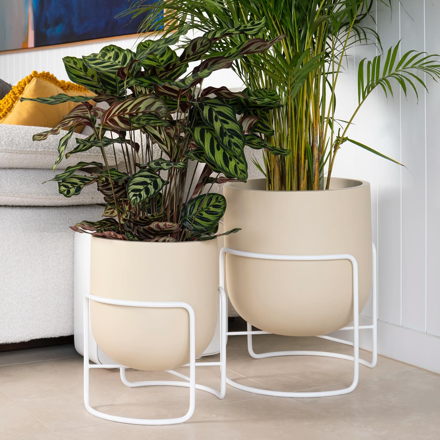 Different height plant pots on a shelf