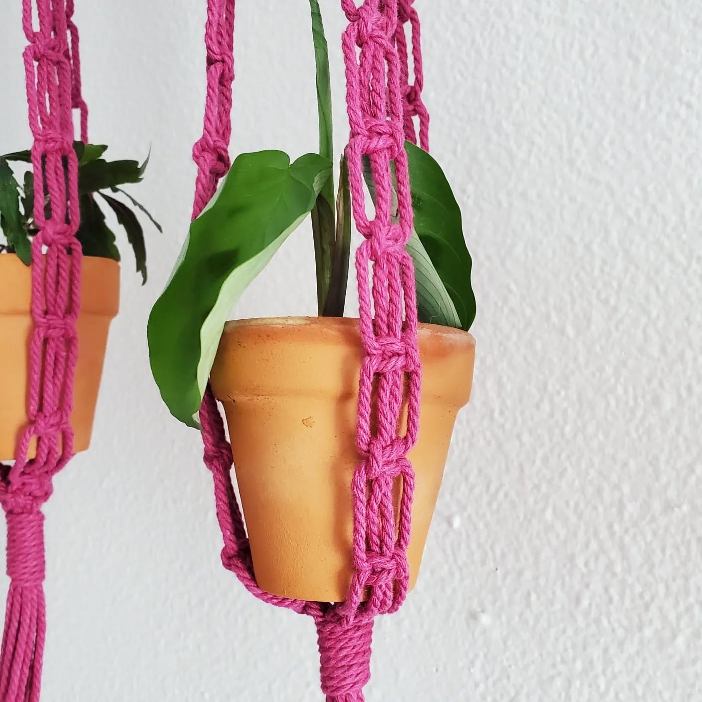 Kitchen herb garden using macramé hangers