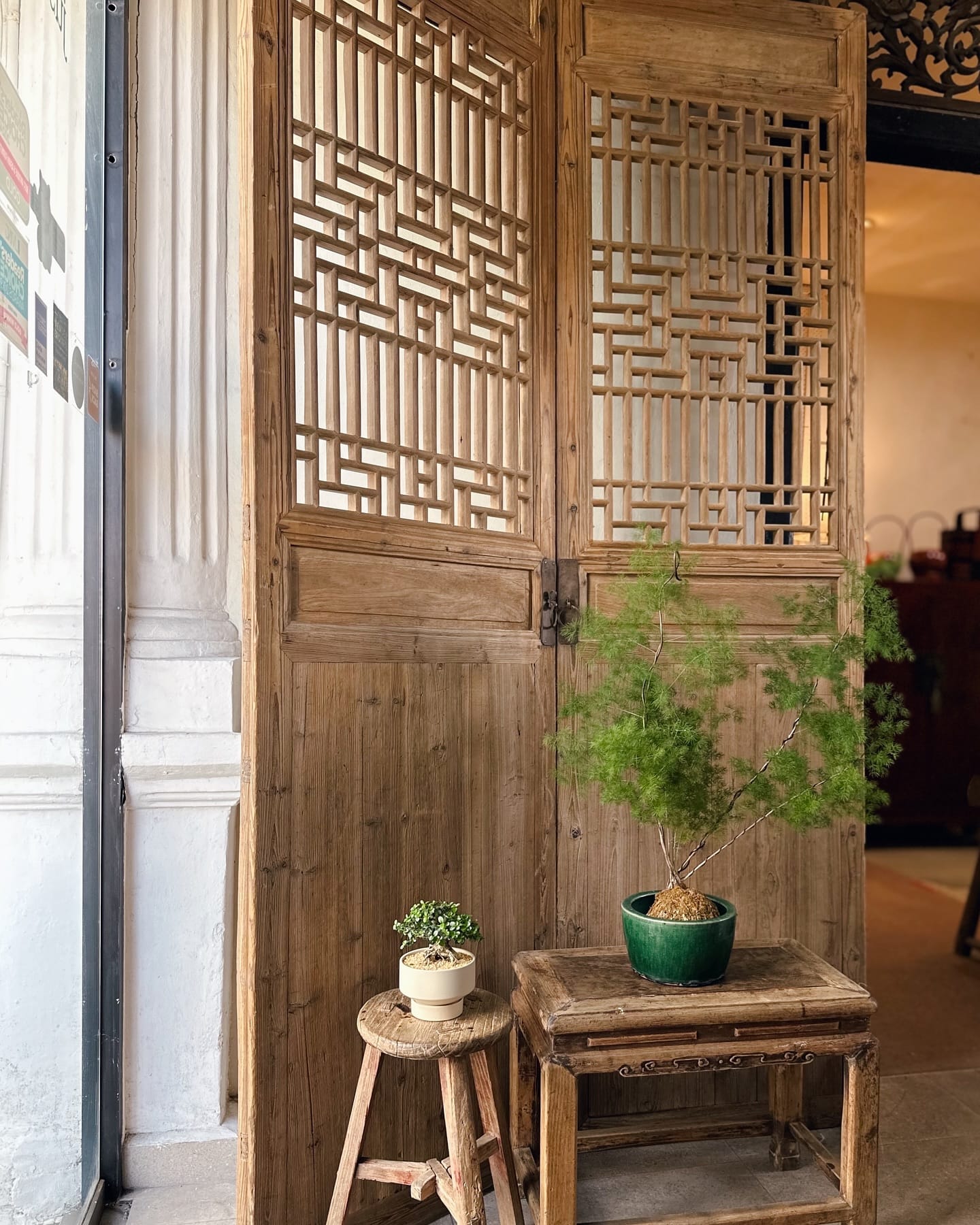 Reclaimed wood antique door plant display