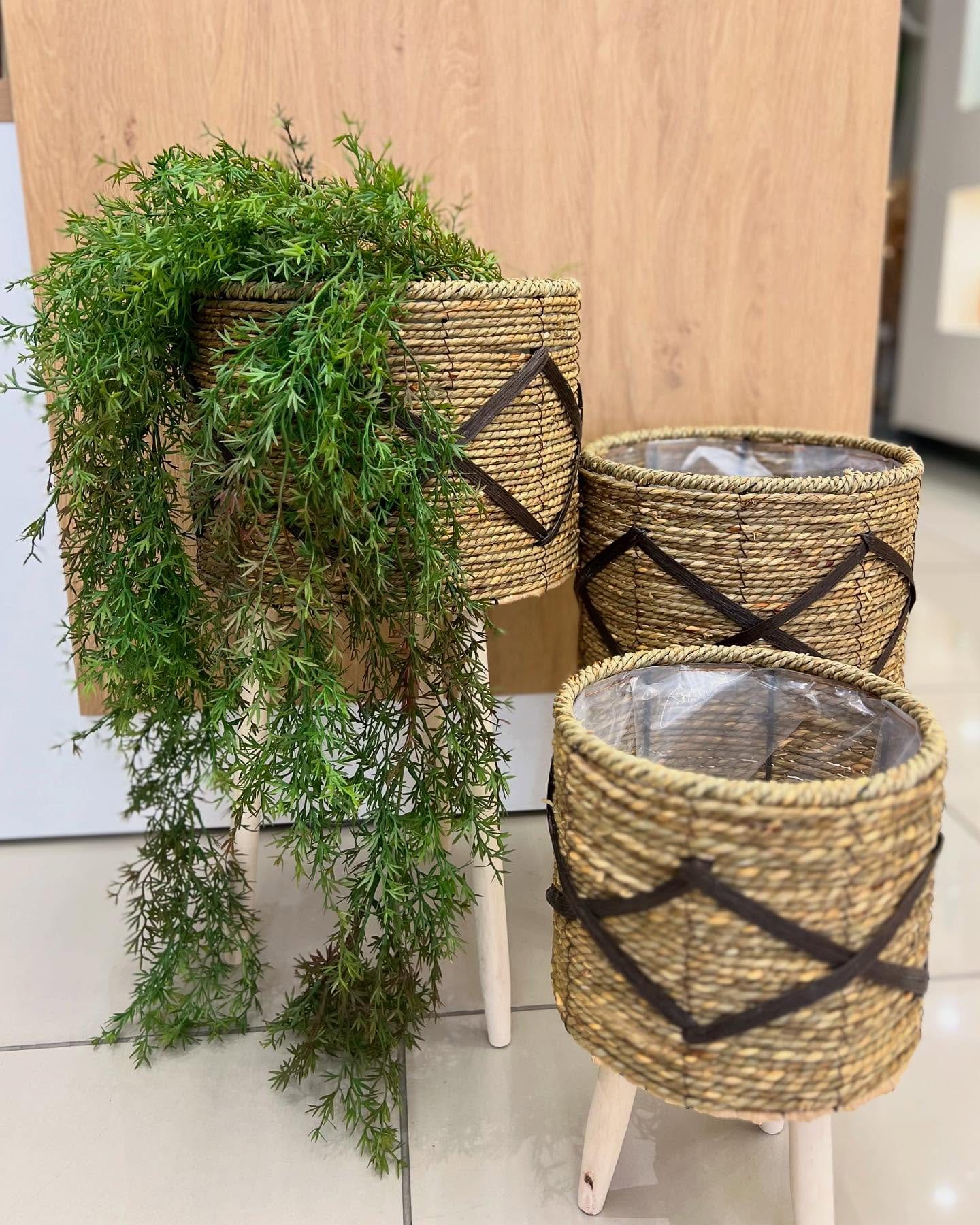 woven basket as plant pot cover