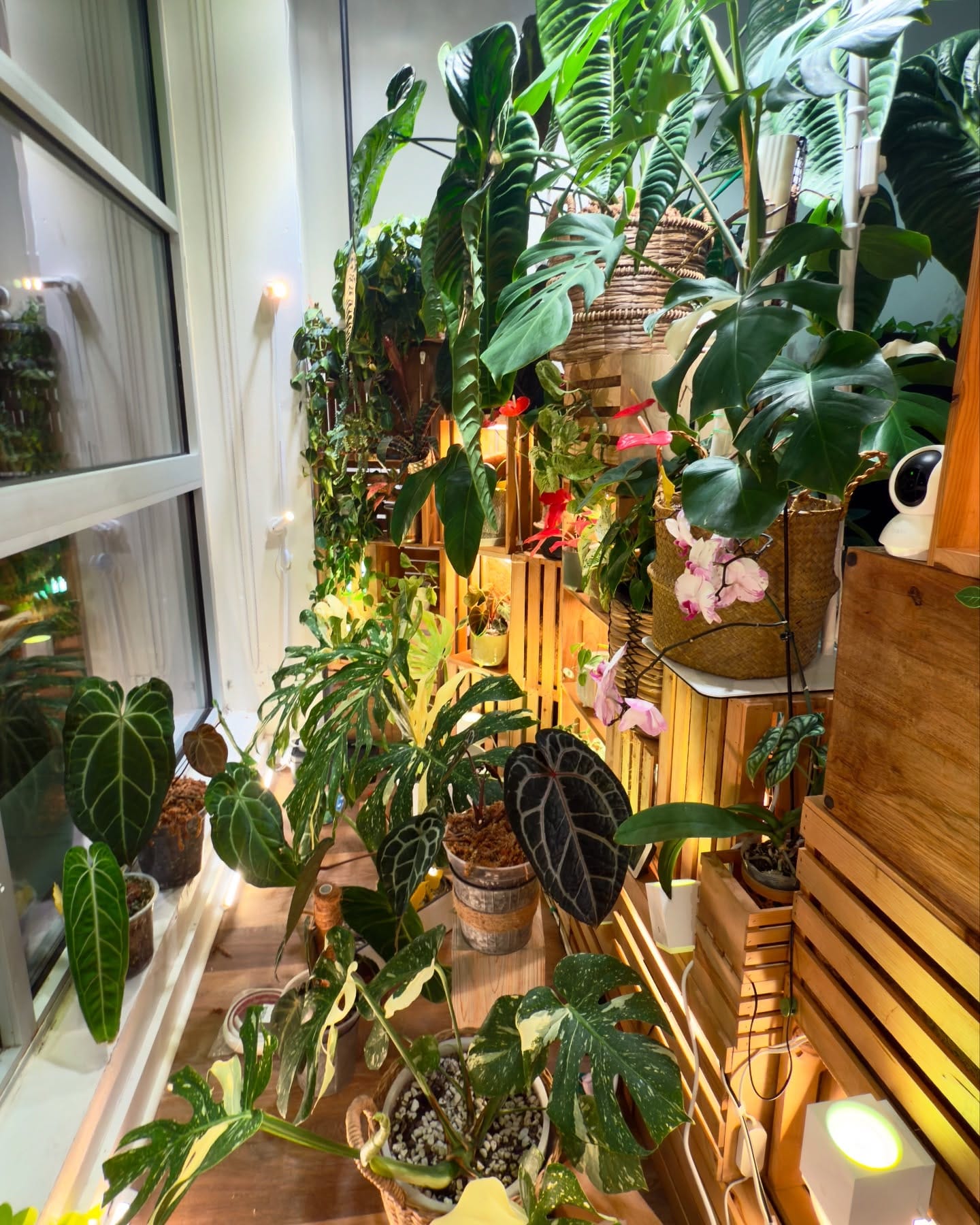 Multi-level plant stands with various heights