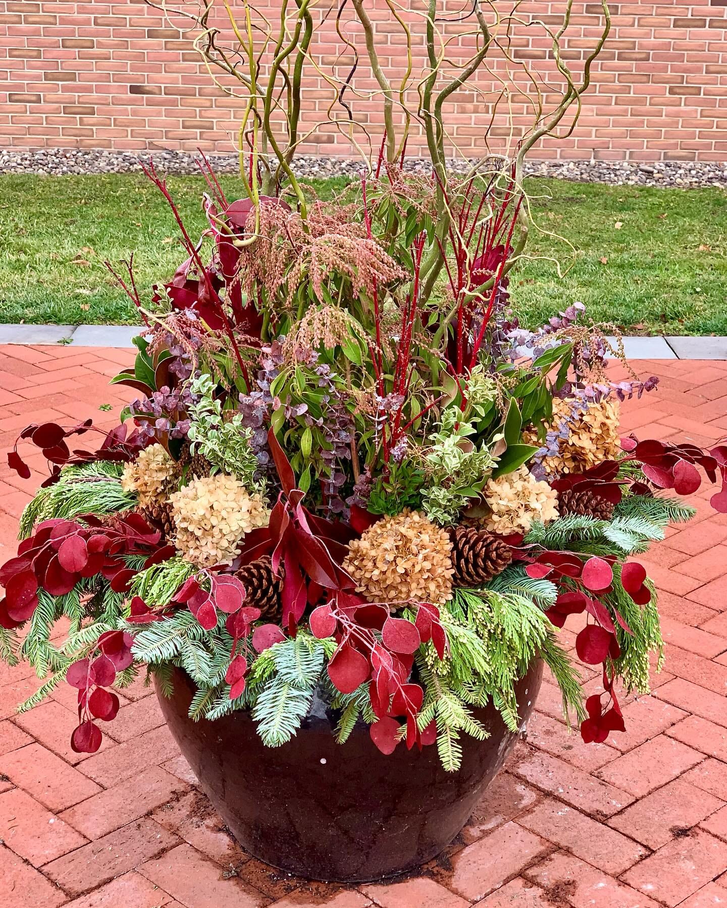 Creative artistic plant arrangement on table
