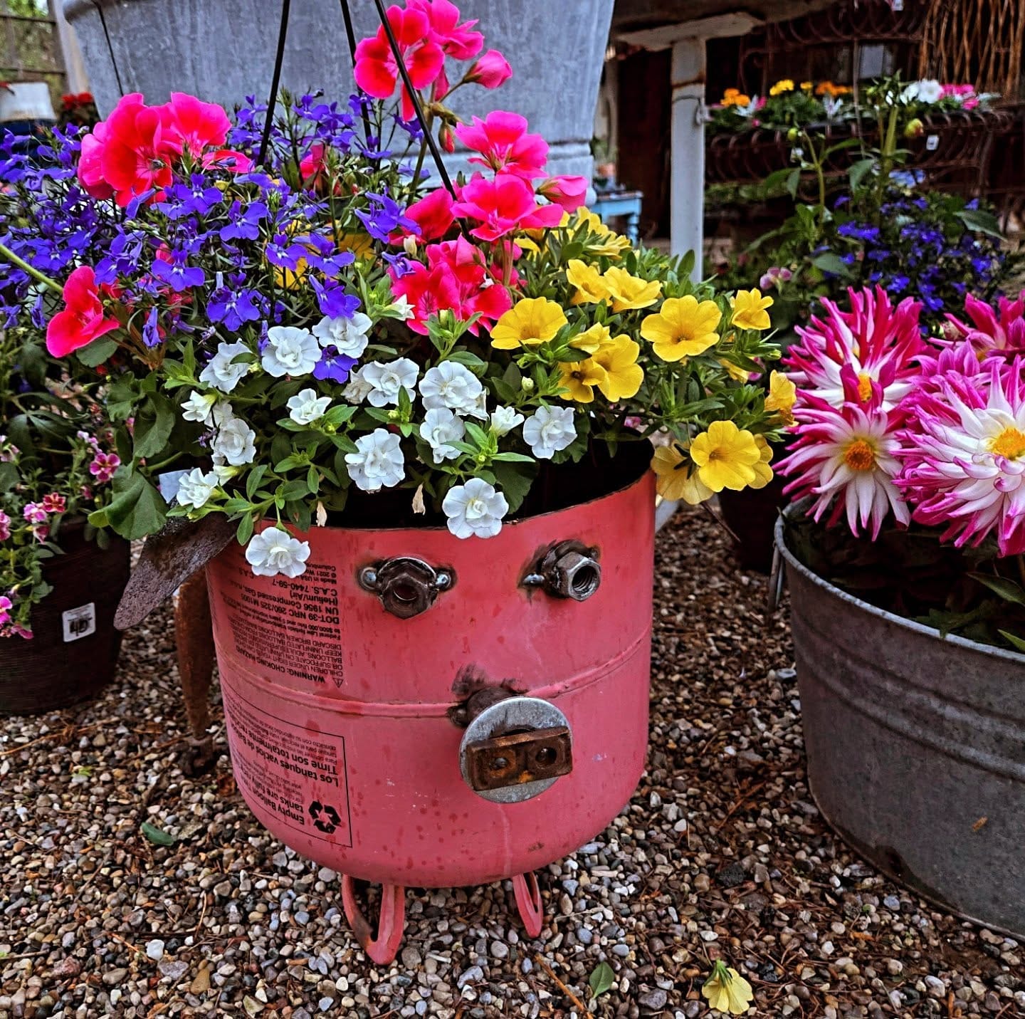 metal hanging basket with ivy