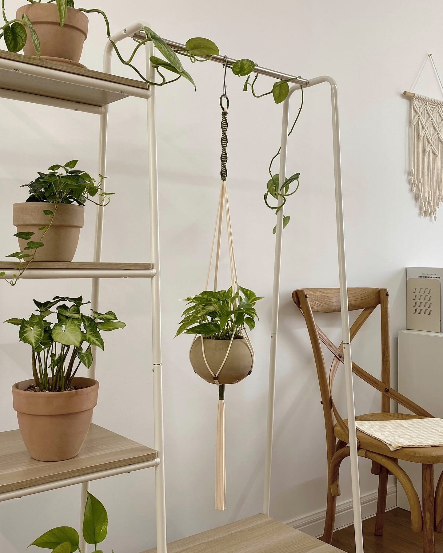 Home gym with macramé plant decor