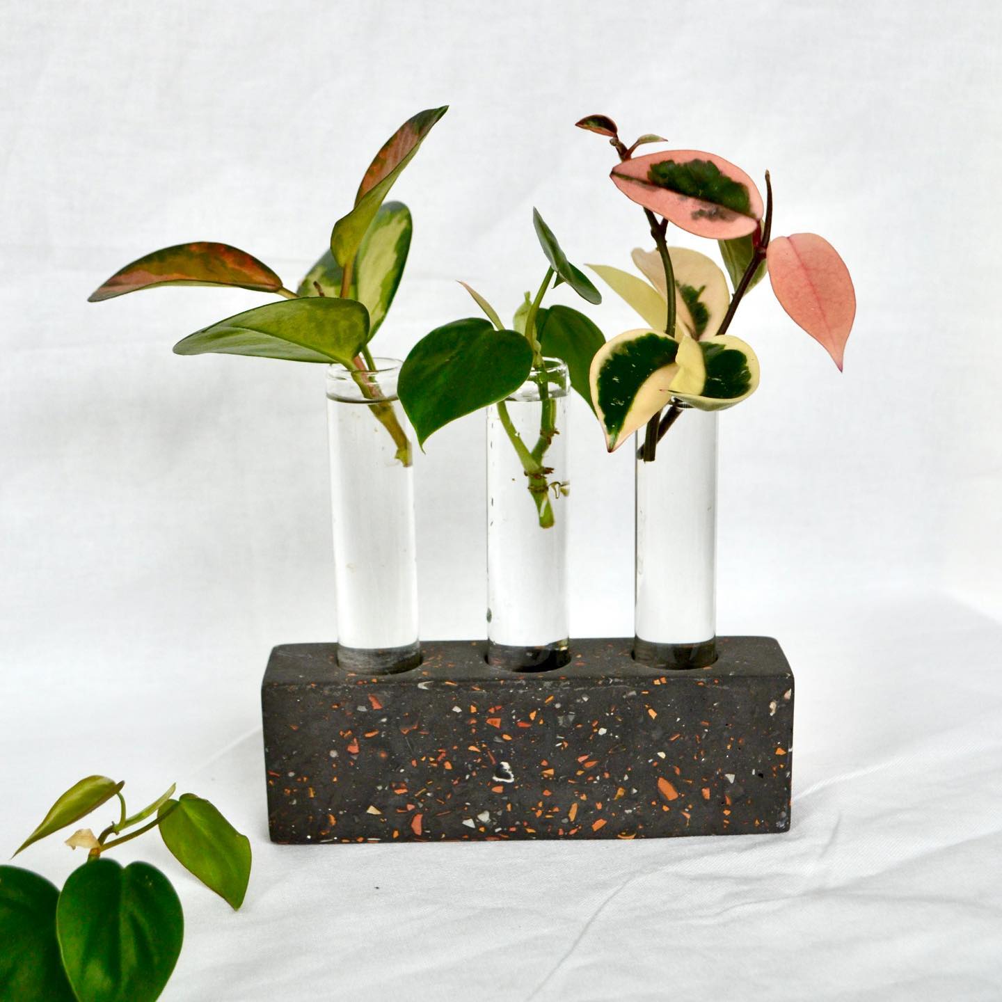 concrete planter centerpiece on dining table