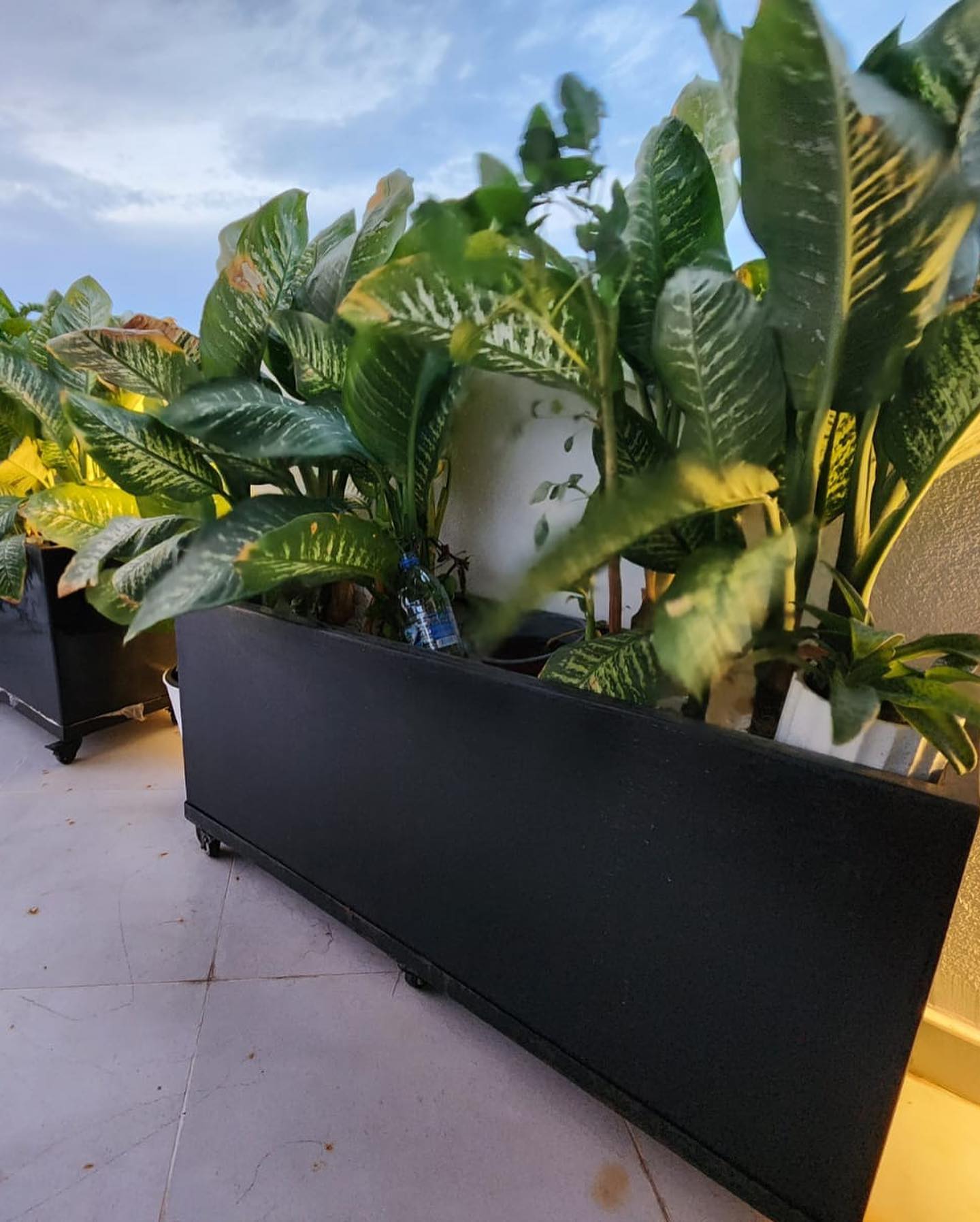 textured fiberglass planter on porch