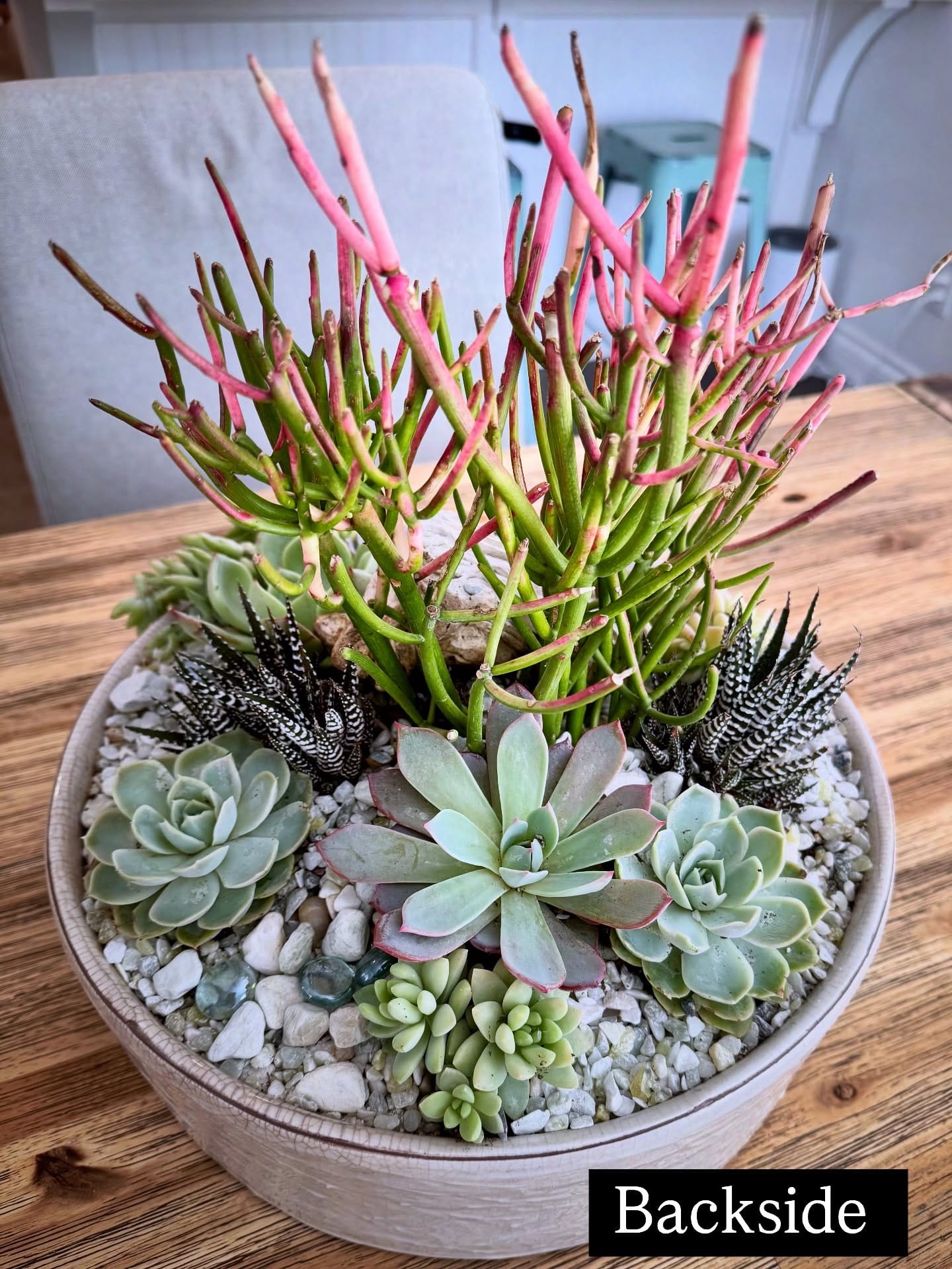 assorted succulents on bay window sill