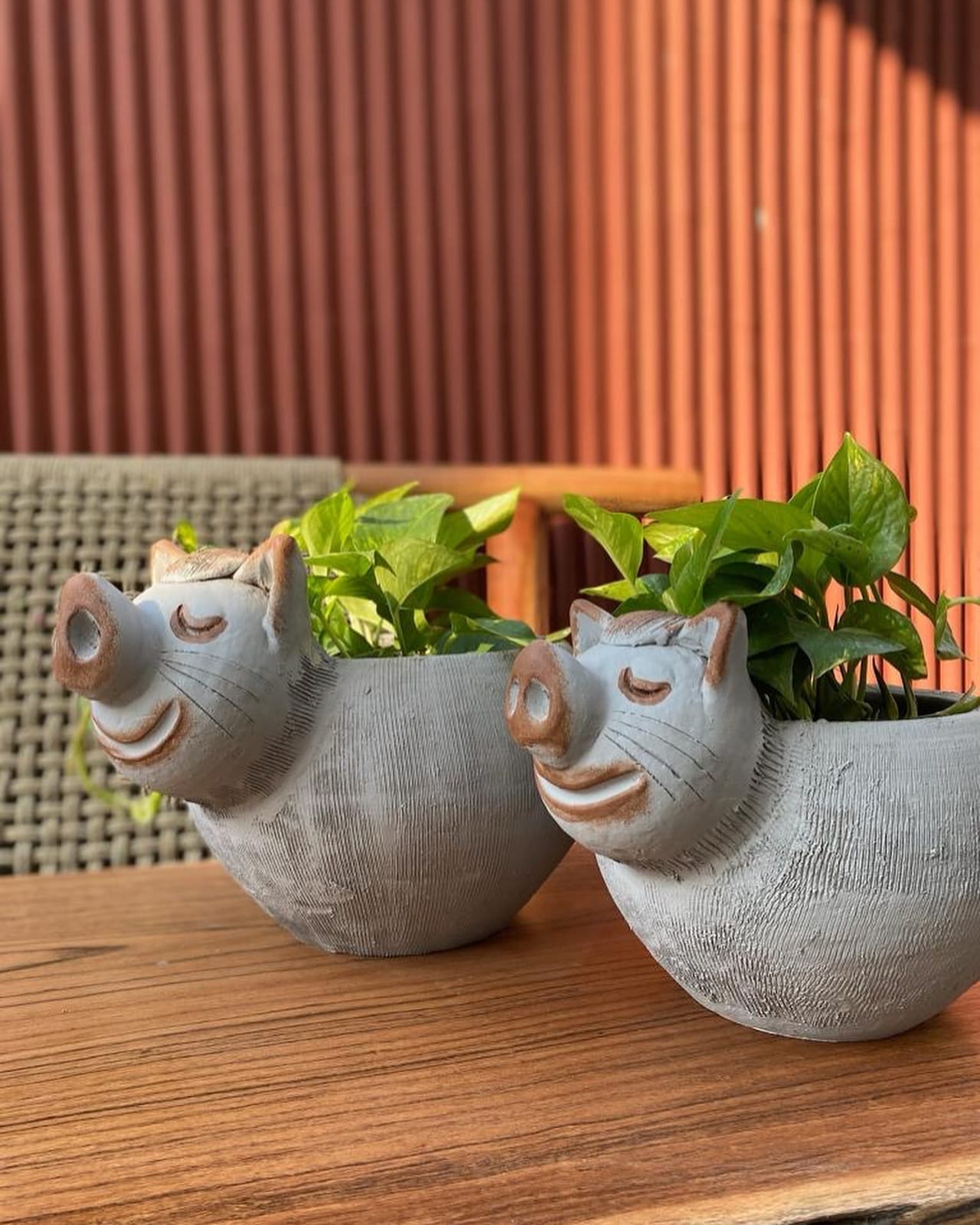 artisan clay pot with lavender