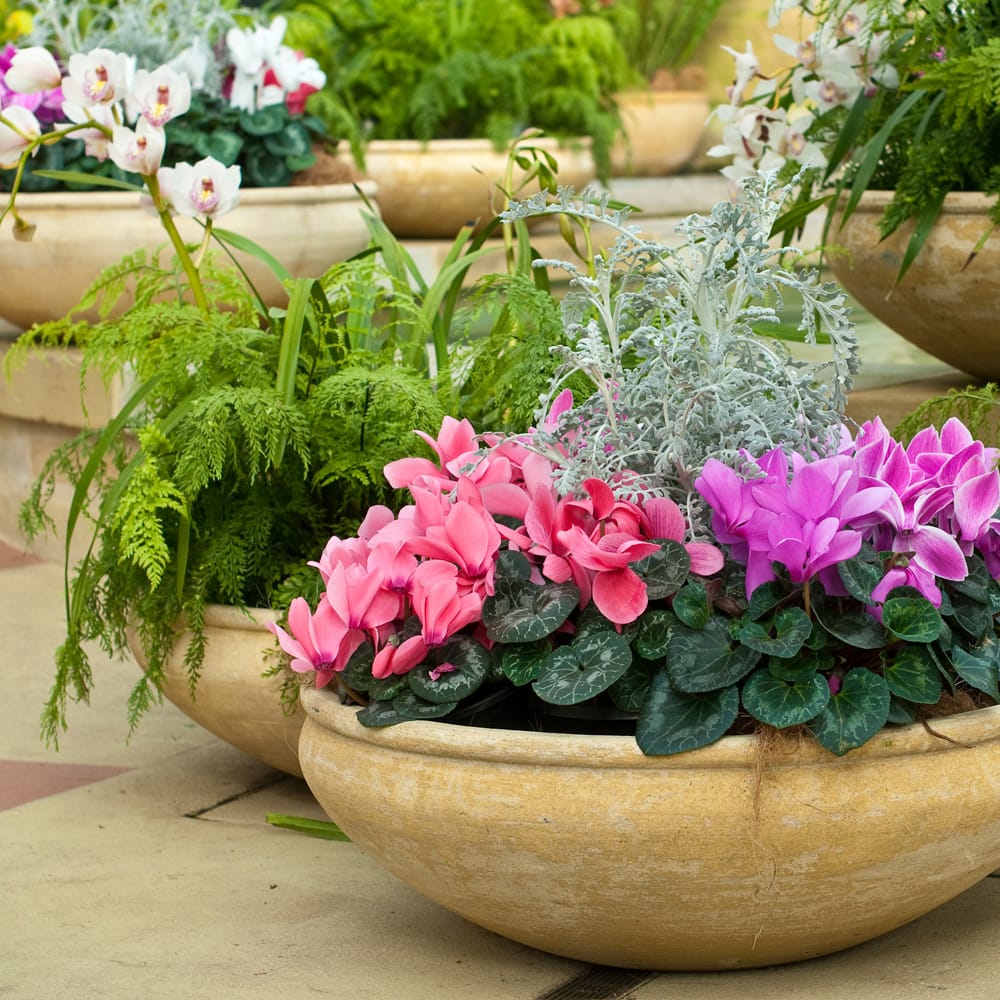 large decorative urn in garden