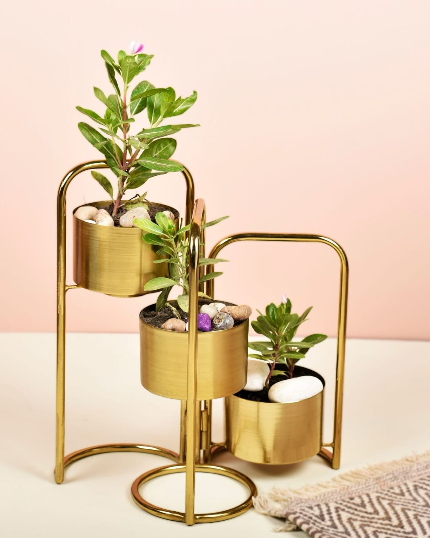 Eclectic plant arrangement on wrought iron stand