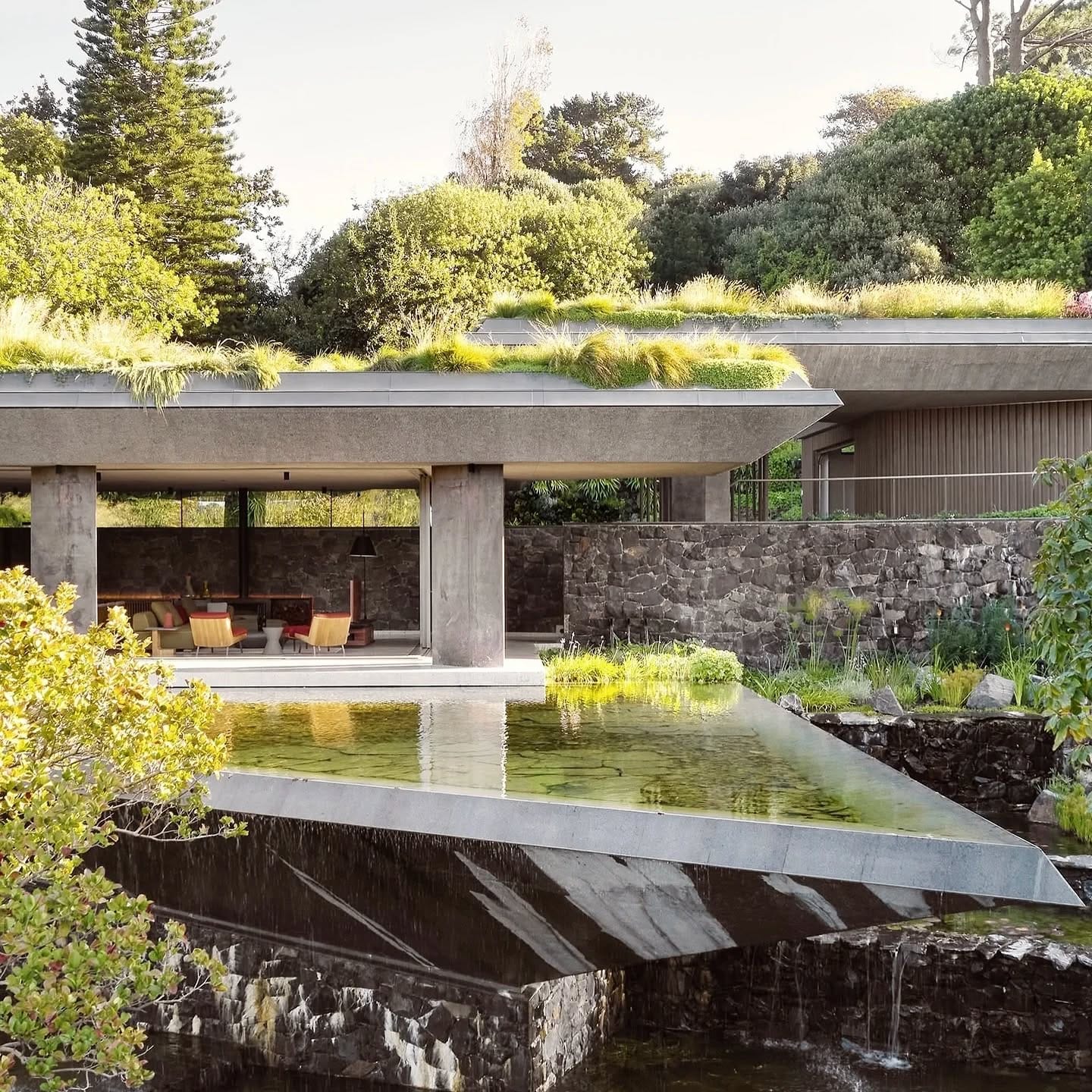 staircase with leaf shadows on wall