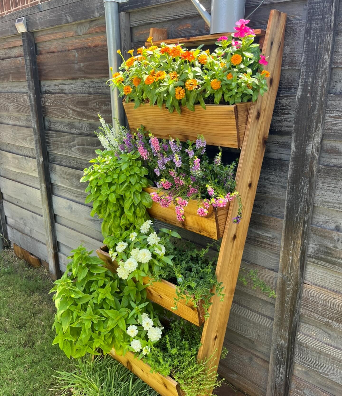 Leaning wooden ladder with hanging plants