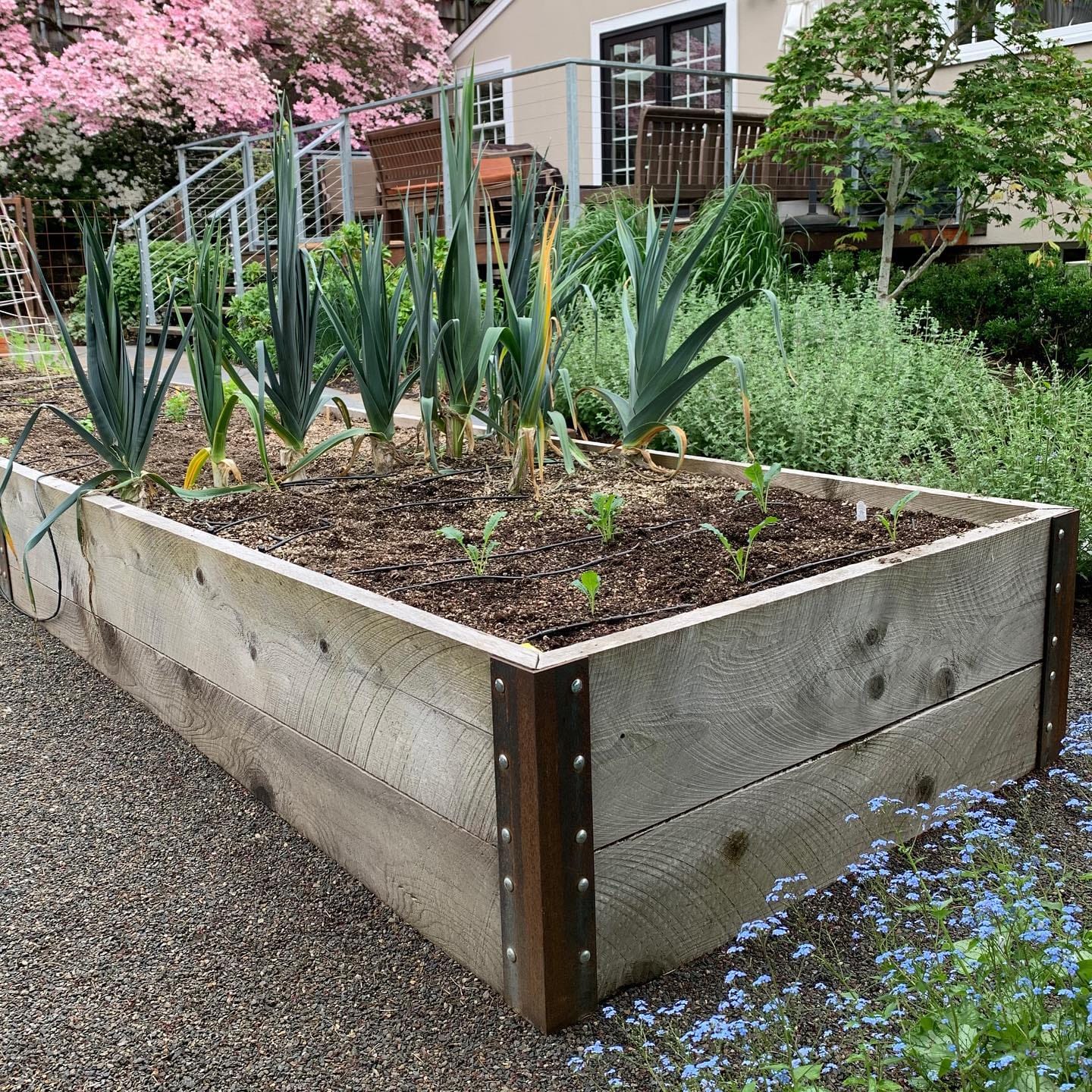 vertical garden in alcove