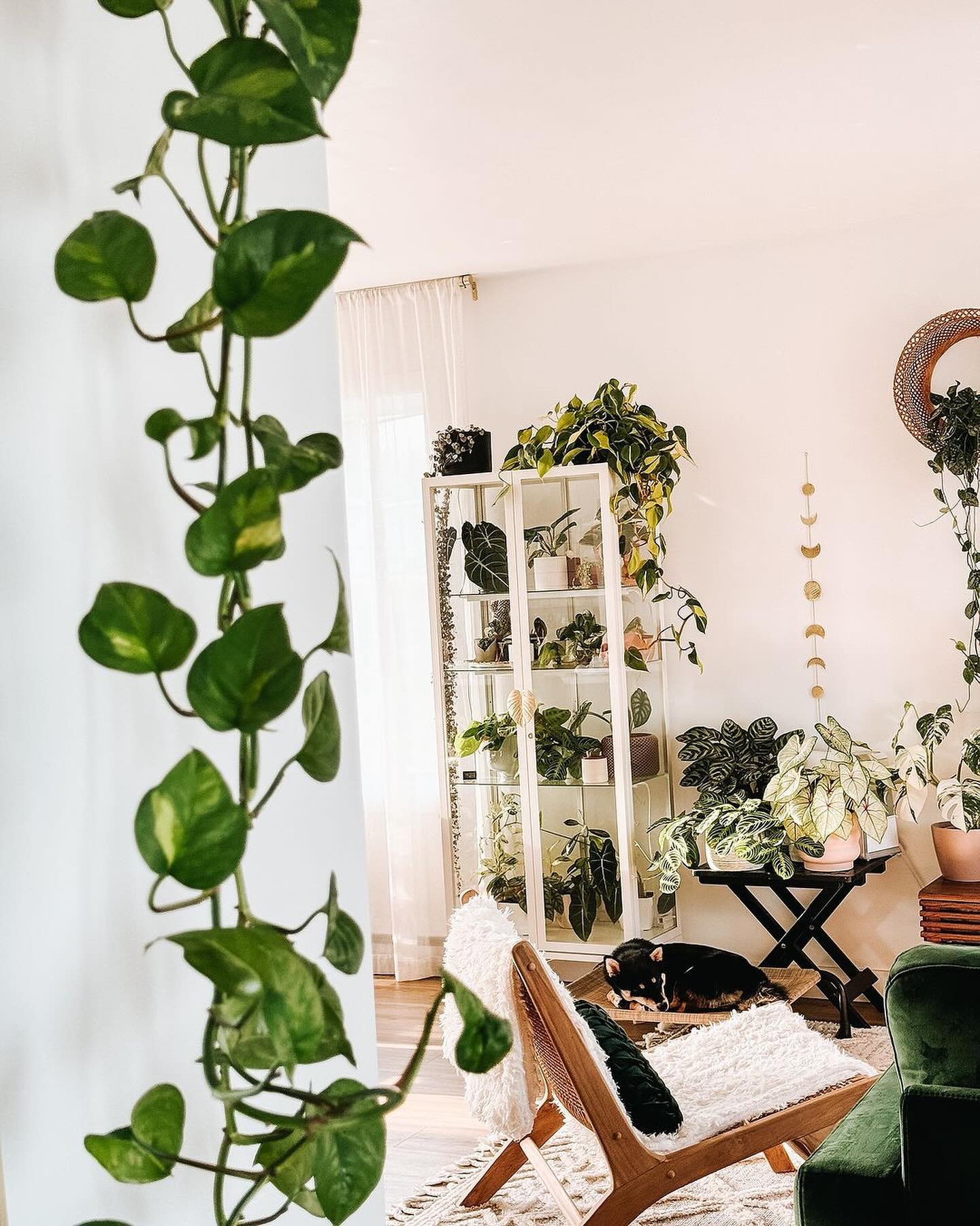 Metal and bamboo plant stands with greenery