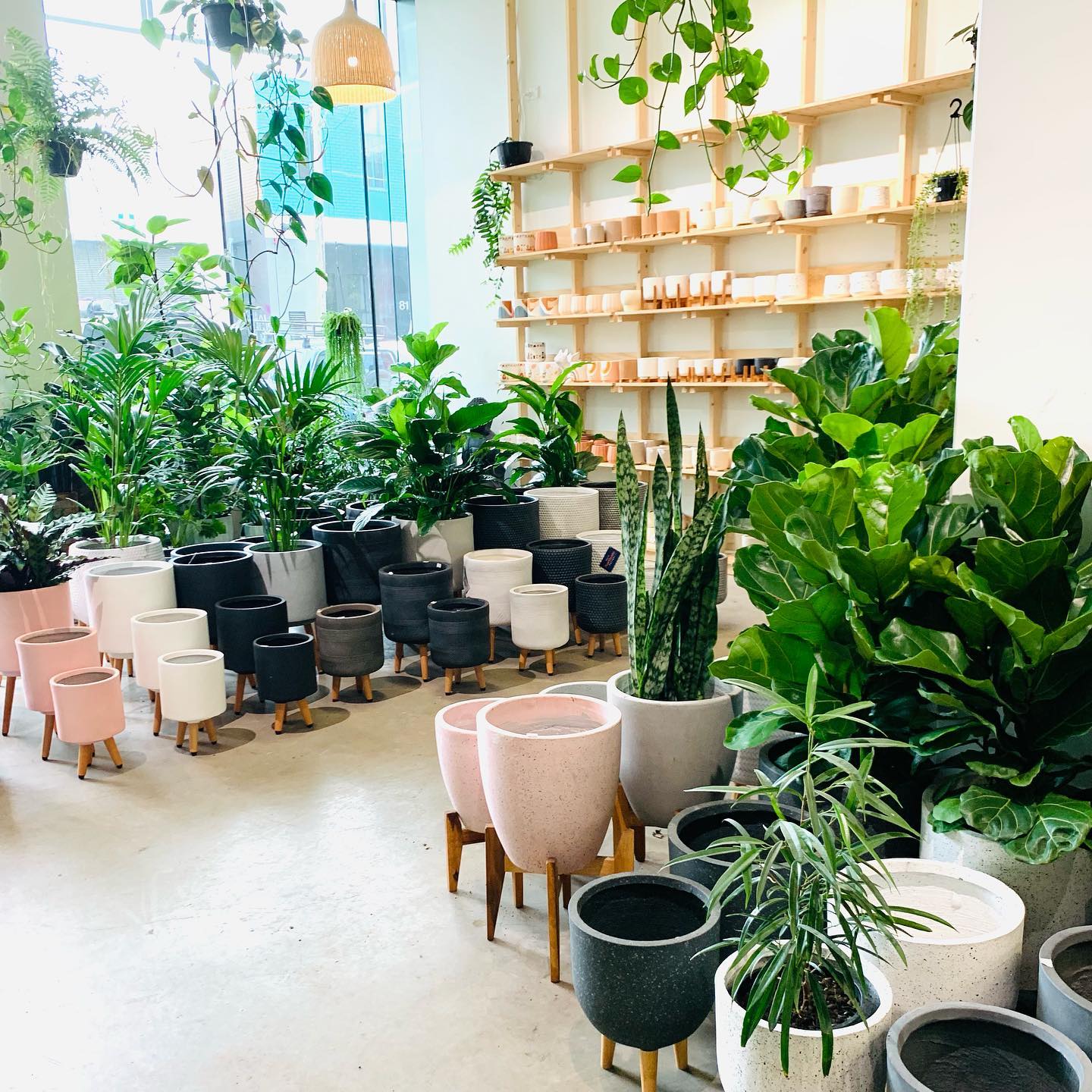 Metal plant stands in varying heights