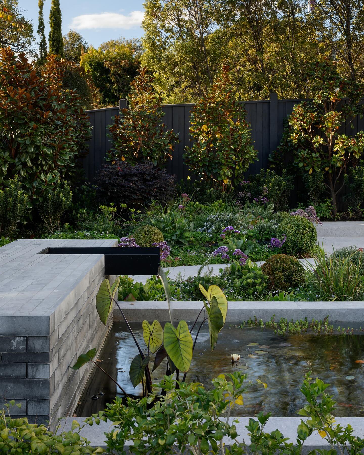 Indoor fountain surrounded by plants