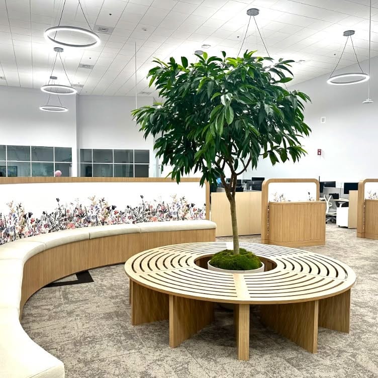 Metal bucket planter with snake plant