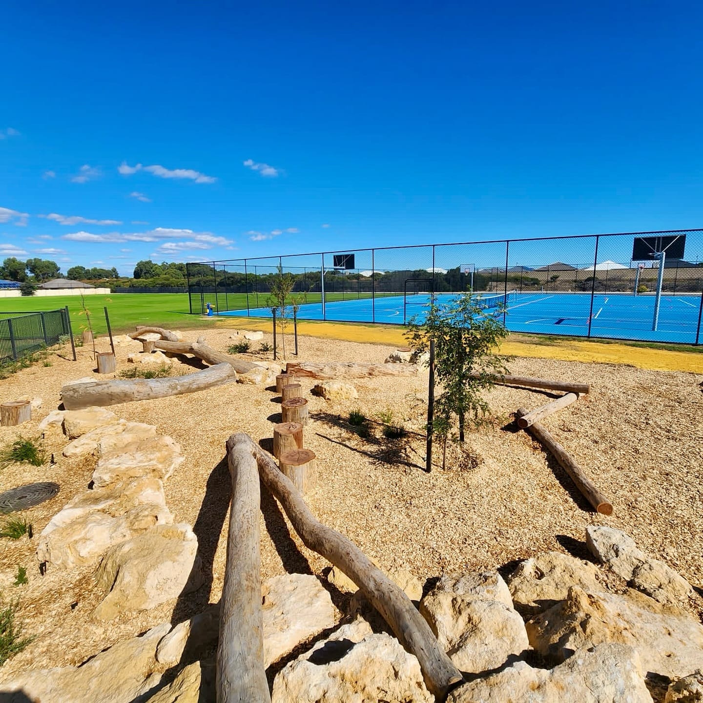 children's play area with plant shadows
