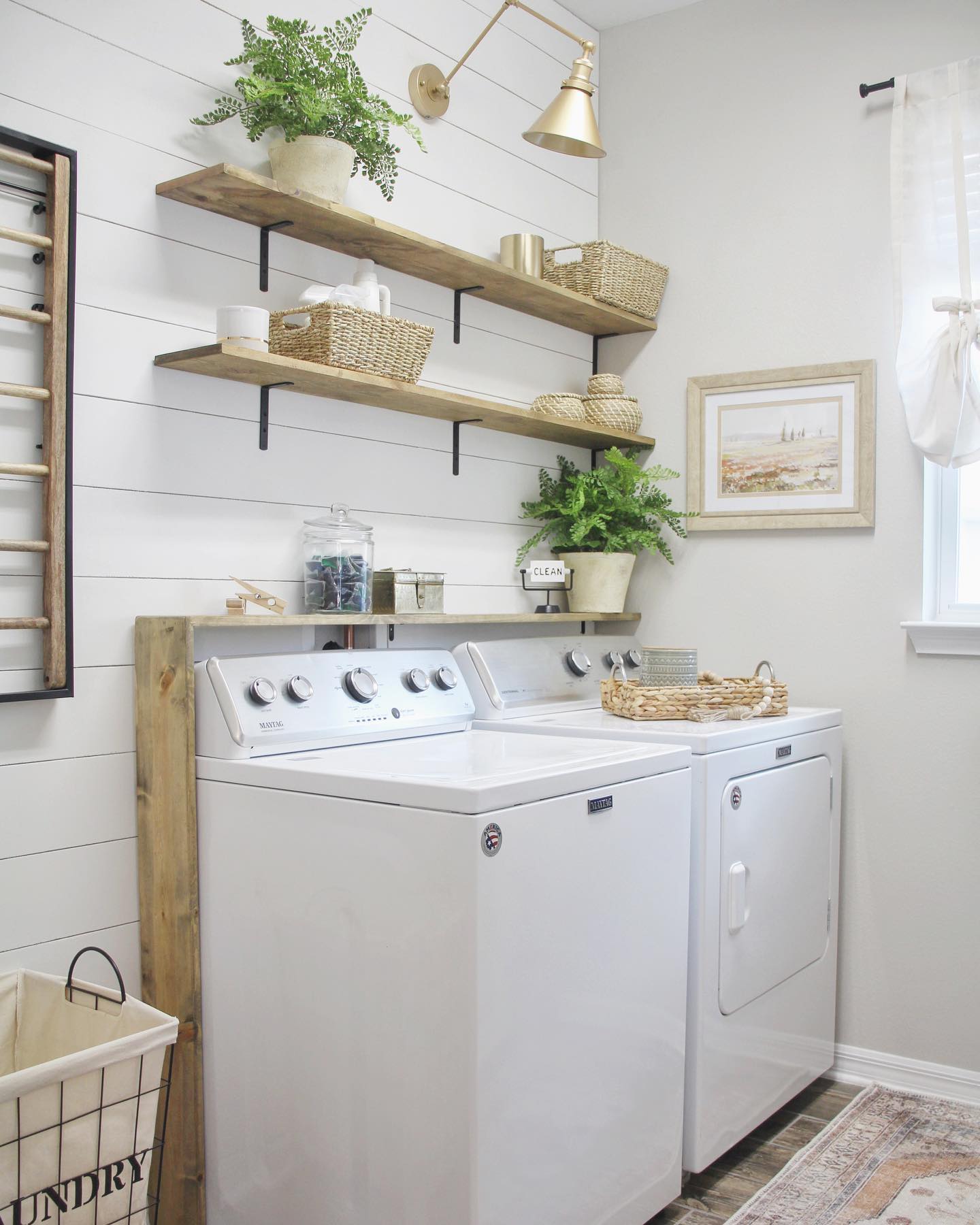 shelf with various succulents