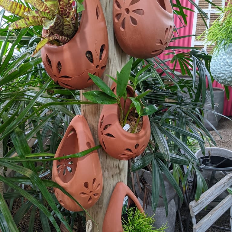Group of terracotta pots with herbs