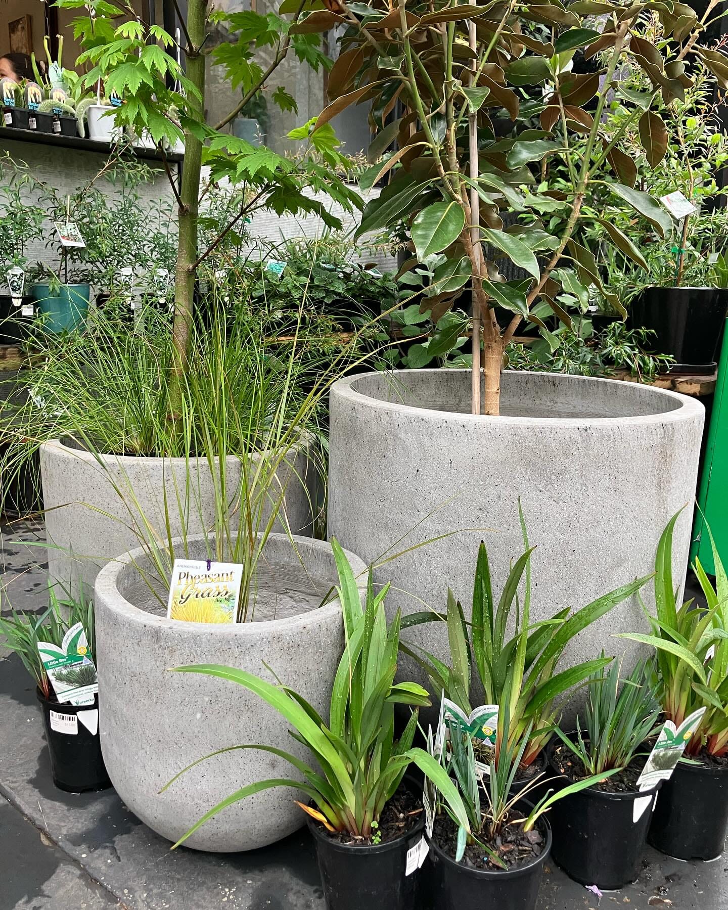 Smooth grey concrete cylinder plant pots