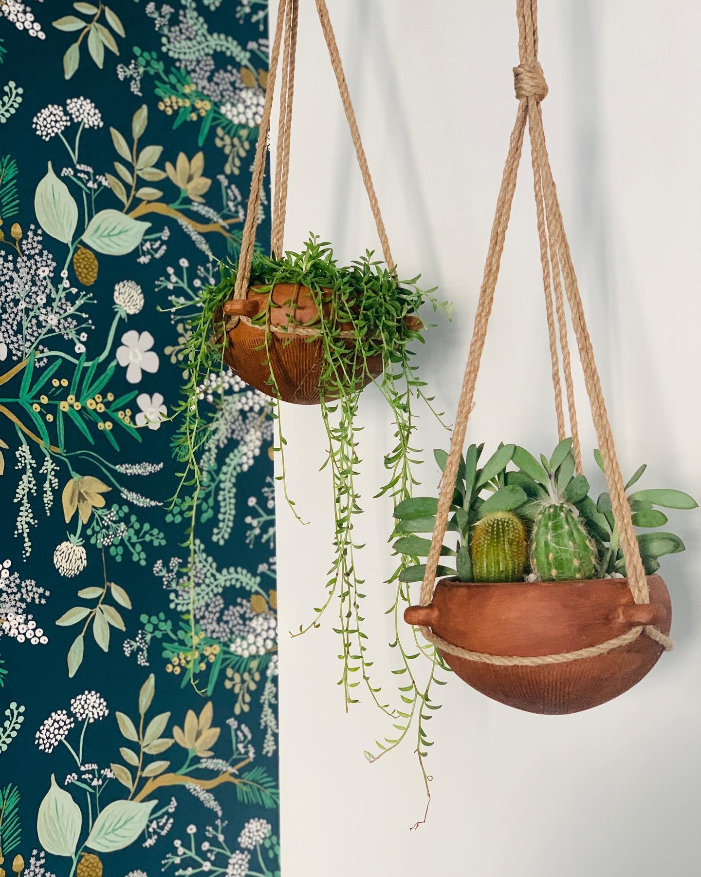jumbled hanging planters with greenery
