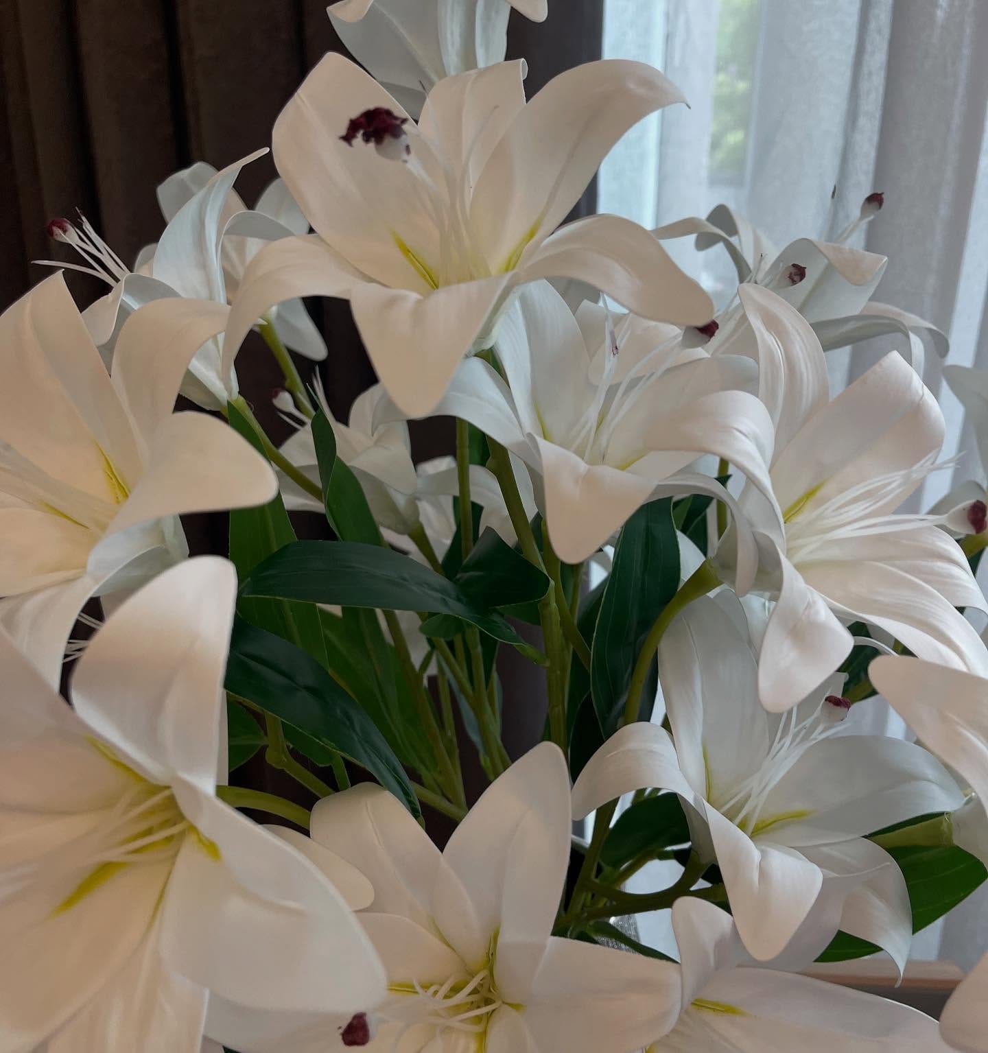 Graceful orchids in sleek white pot