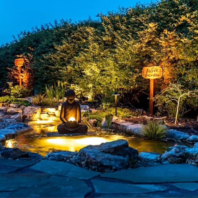 Holiday lights on indoor palm