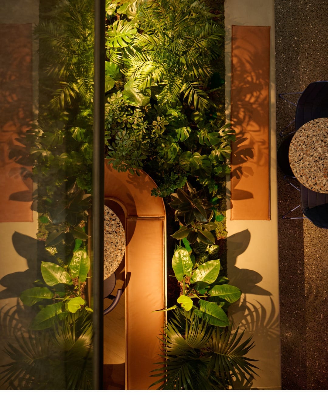 Sunlit room with grouped light-loving plants