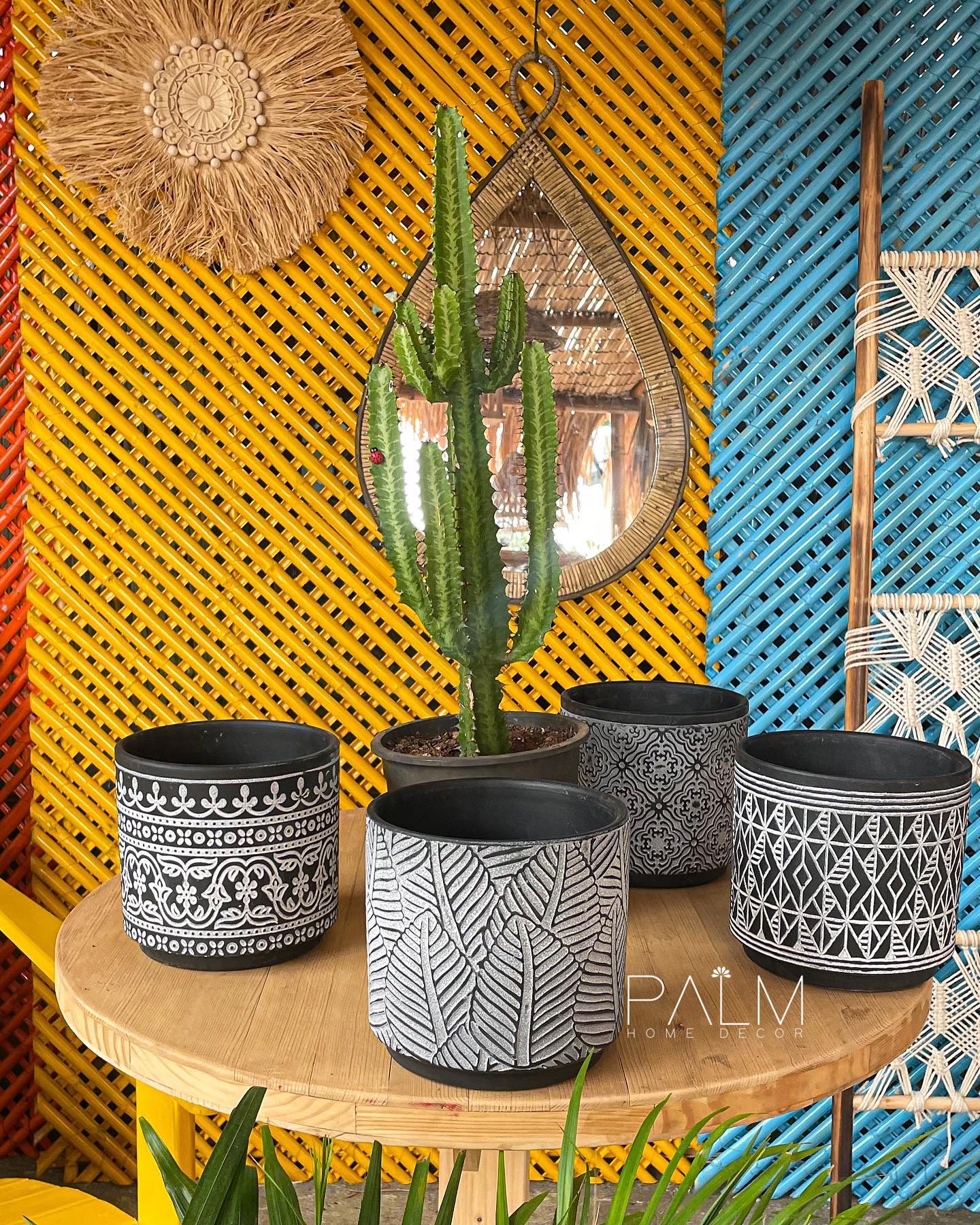 Handmade pottery collection with plants