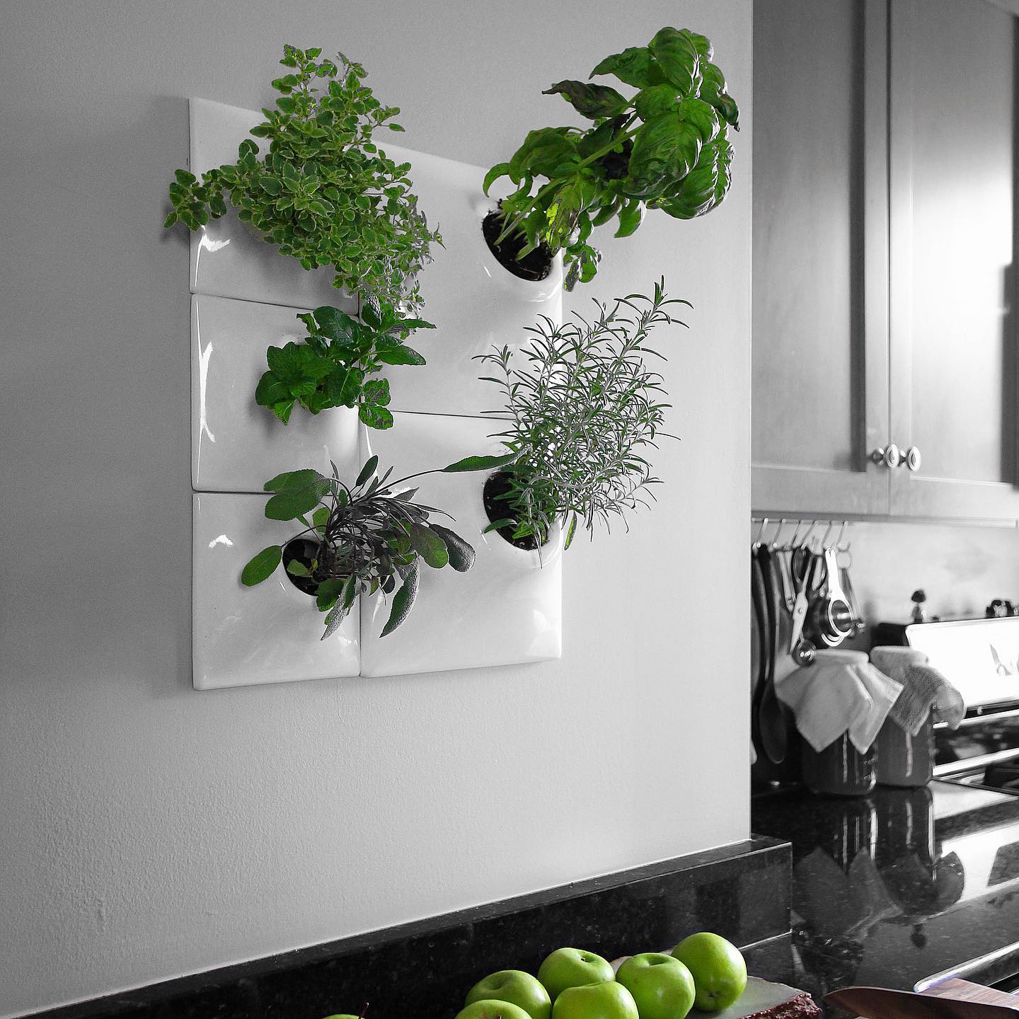 herb wall planter on island