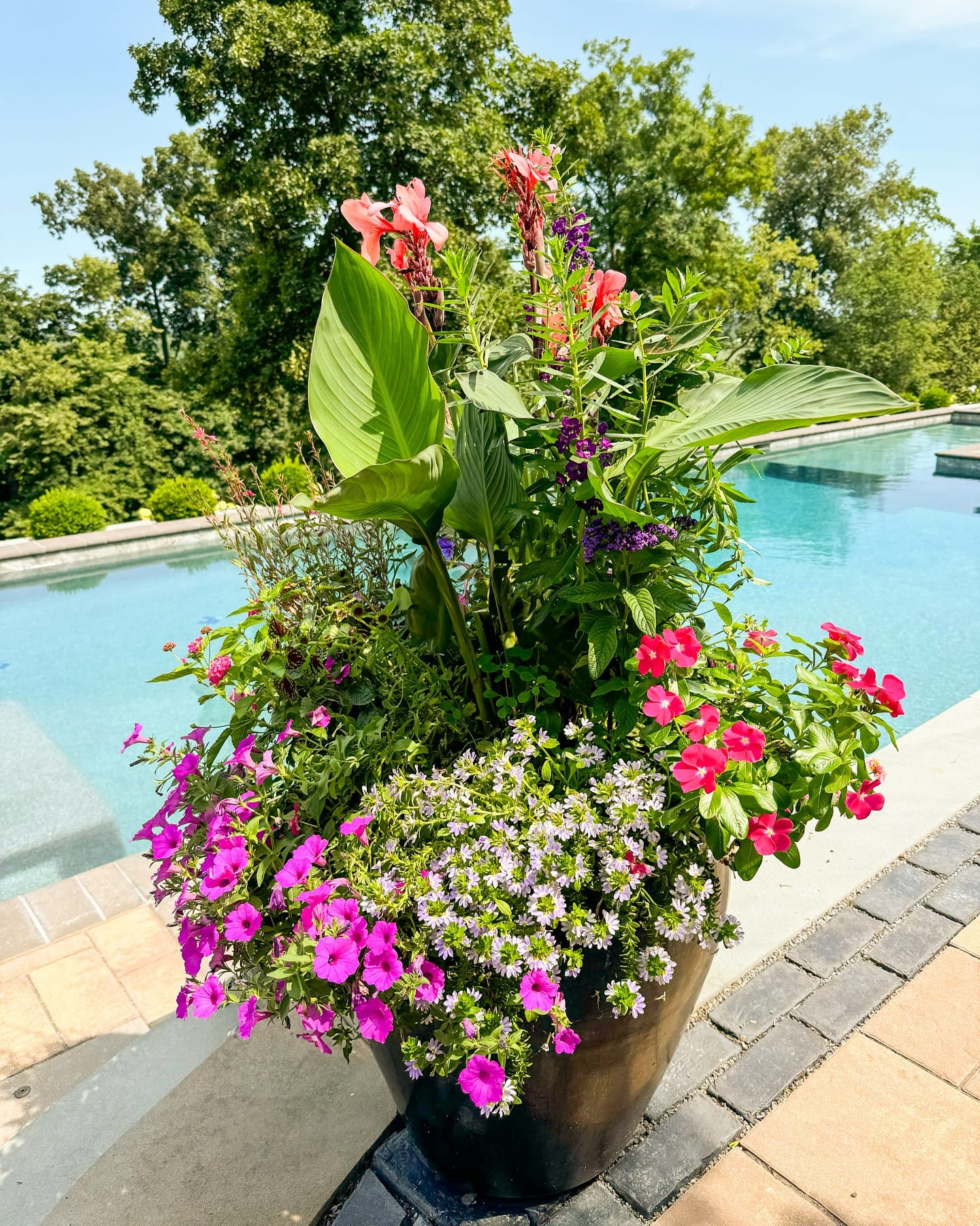 gradient pots by poolside